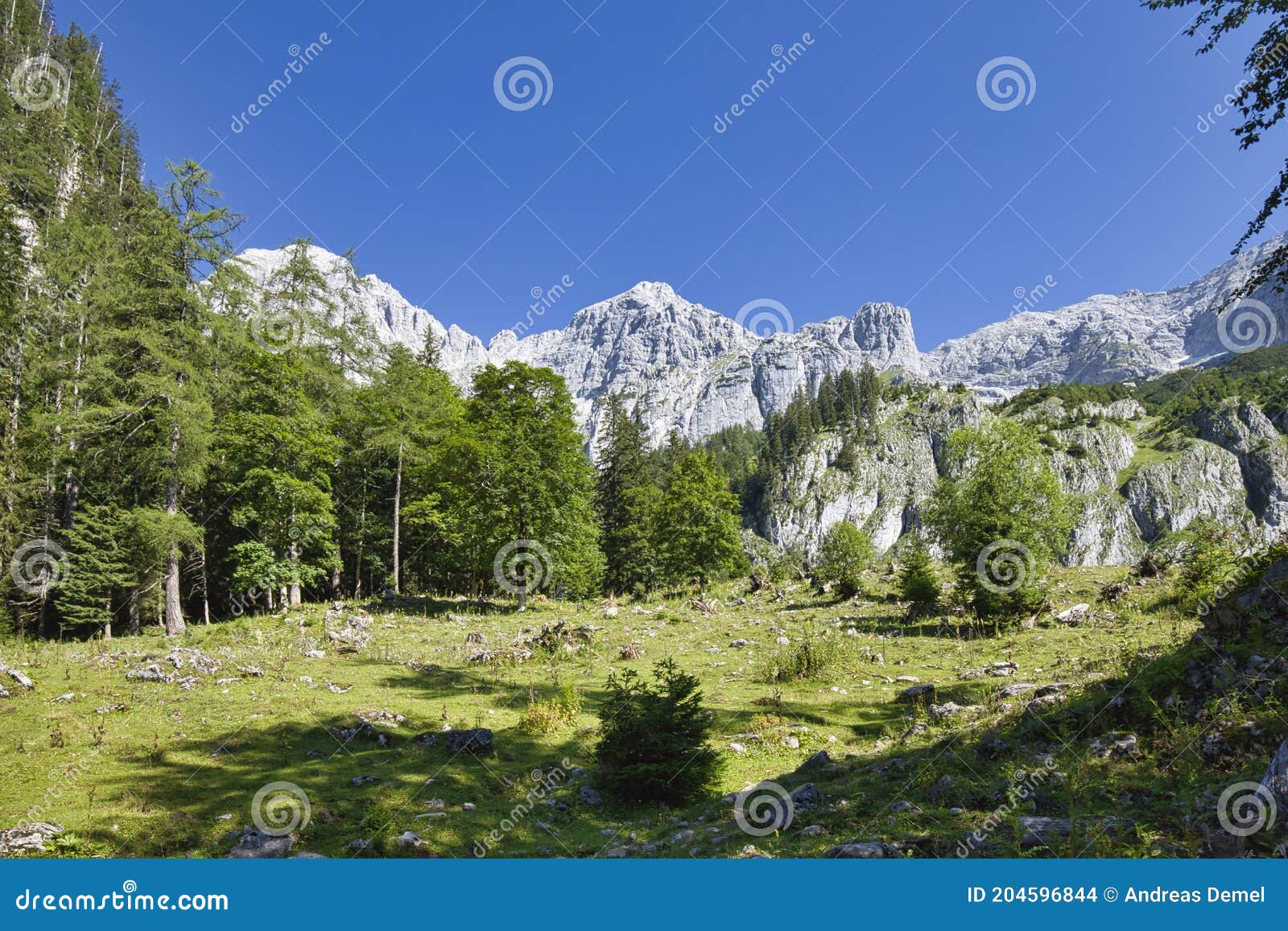 landscape with rocky mountains and green forest in the gesÃÂ¤use nationalpark in austria