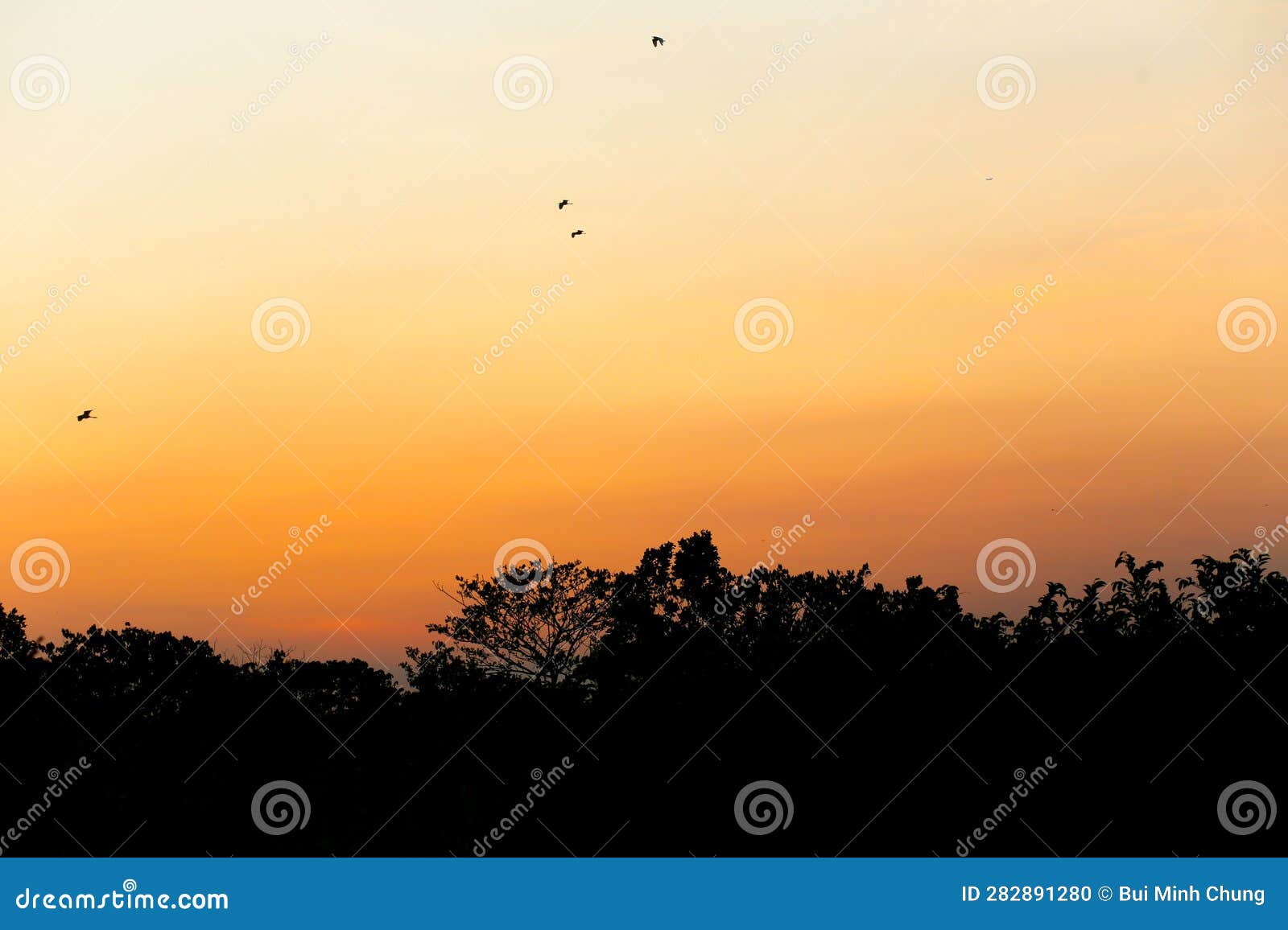 the scene of birds flying back to their nests at sunset at go vap cultural park, ho chi minh