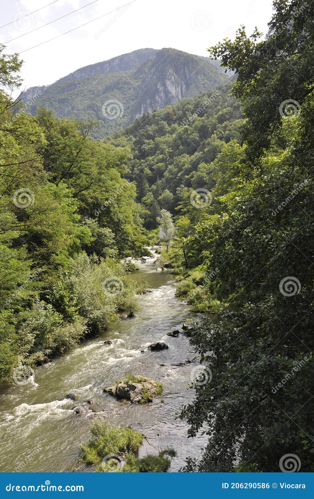 domogled - valea cernei national park from caras-severin county in romania