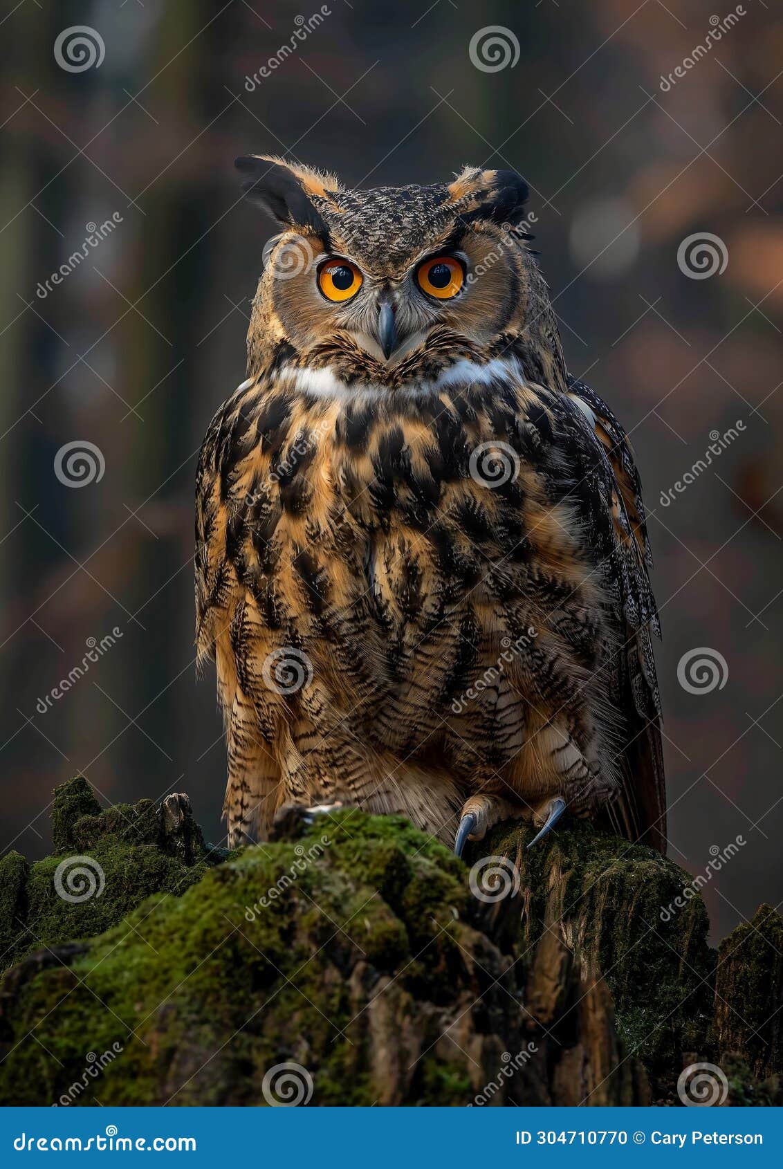 close encounters with majestic molochs: a stunning portrait of w
