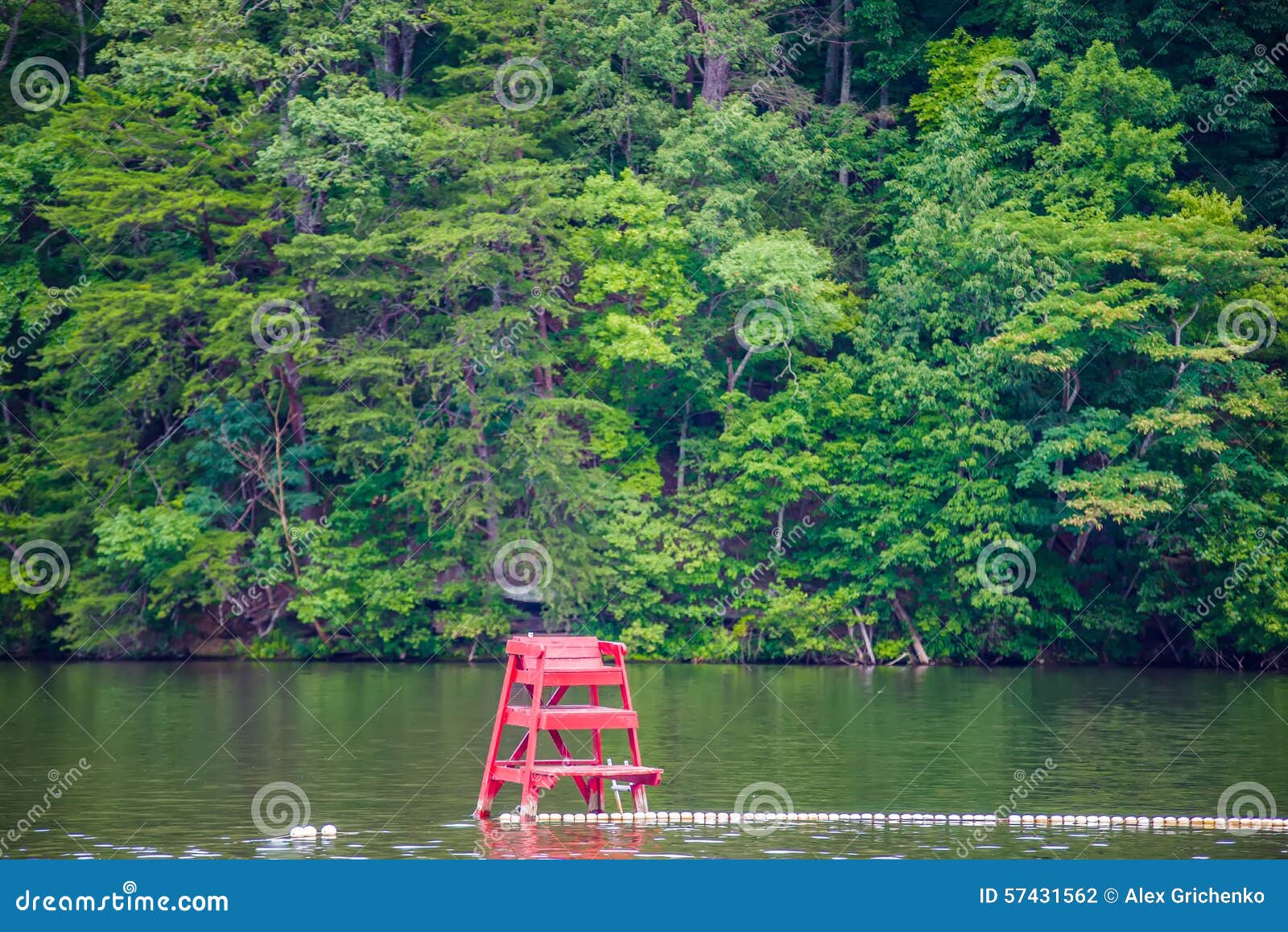 Scenery Around Lake Lure North Carolina Stock Photo Image of lake