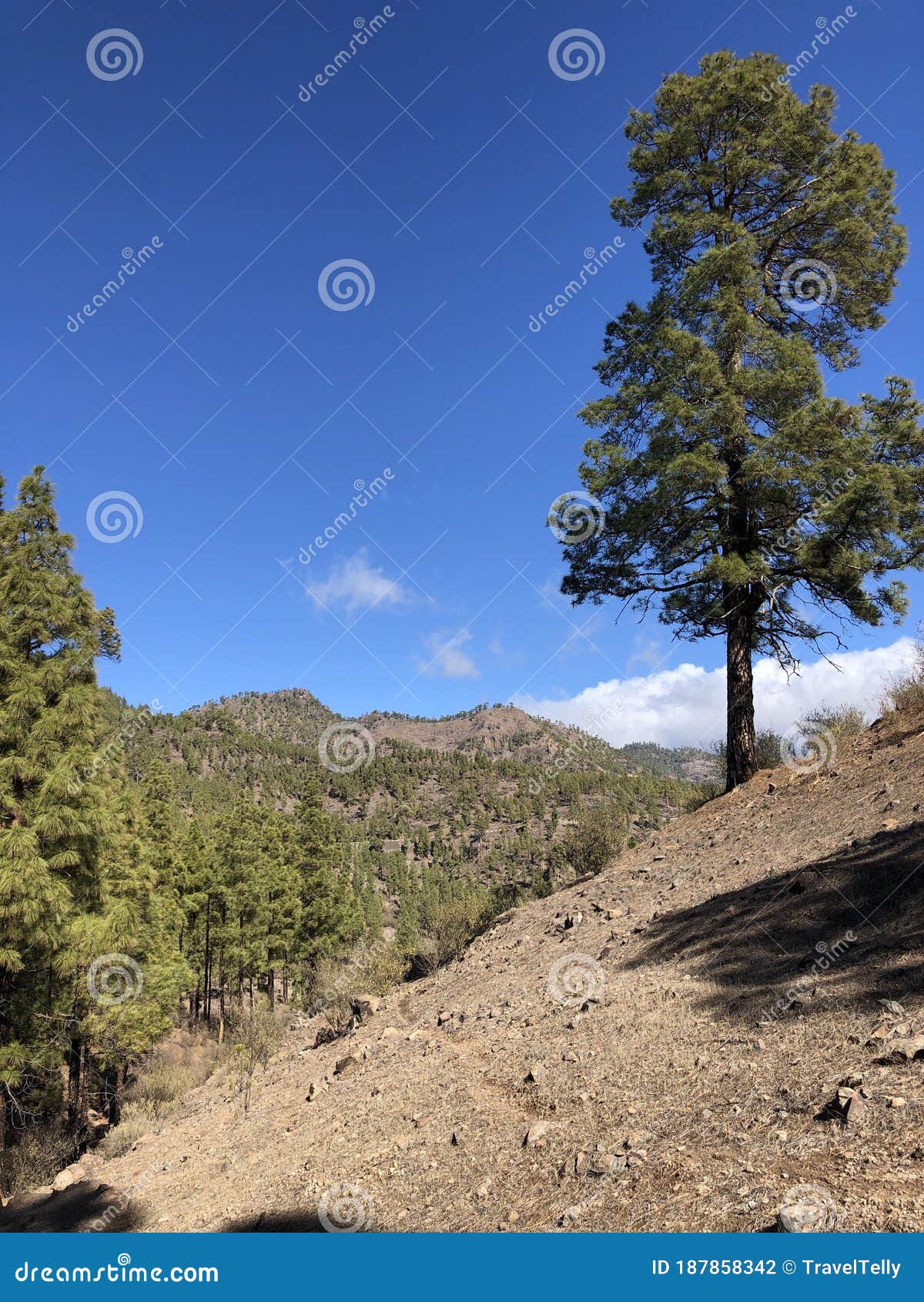 scenery around las ninas reservoir