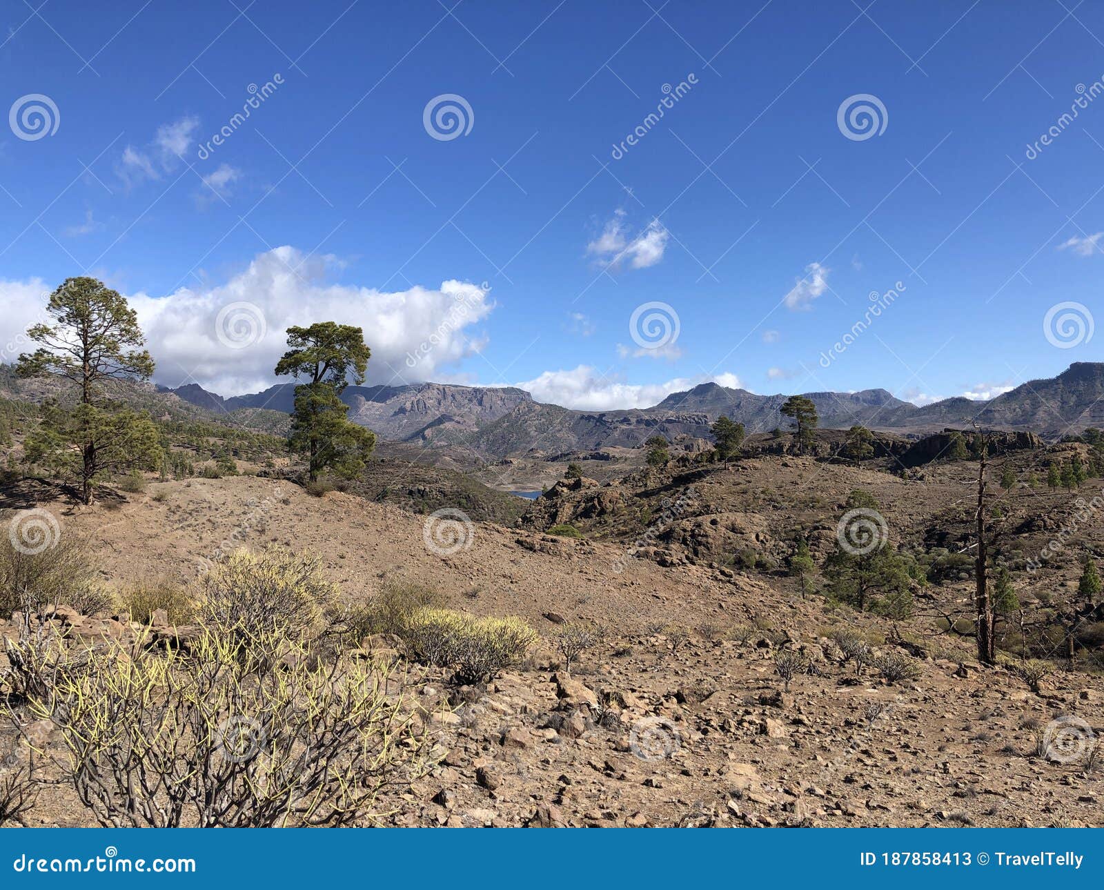 scenery around las ninas reservoir