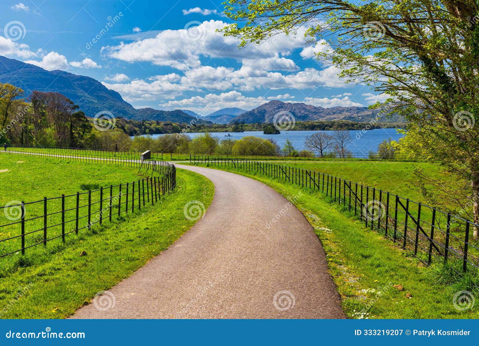 scenery of lough leane, the largest of the killarney lakes in county kerry. ireland