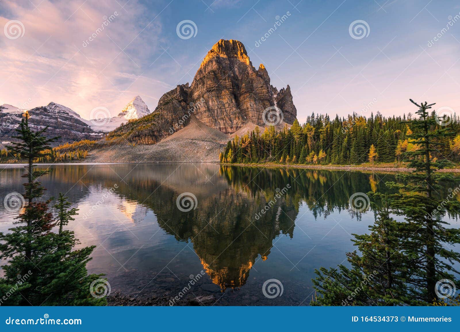 scenery of sunburst lake and mount assiniboine reflections between pine tree at sunrise