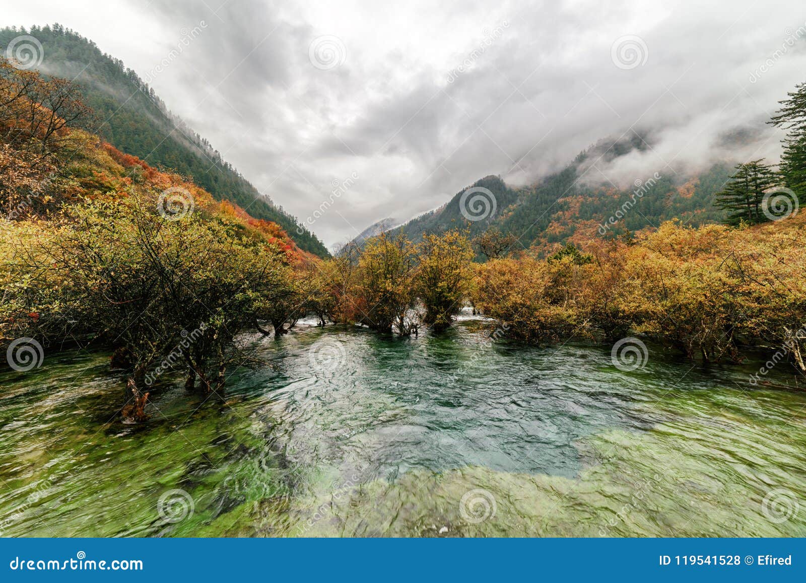 Amazing View Of The Bonsai Shoals Jiuzhaigou Nature Reserve Stock