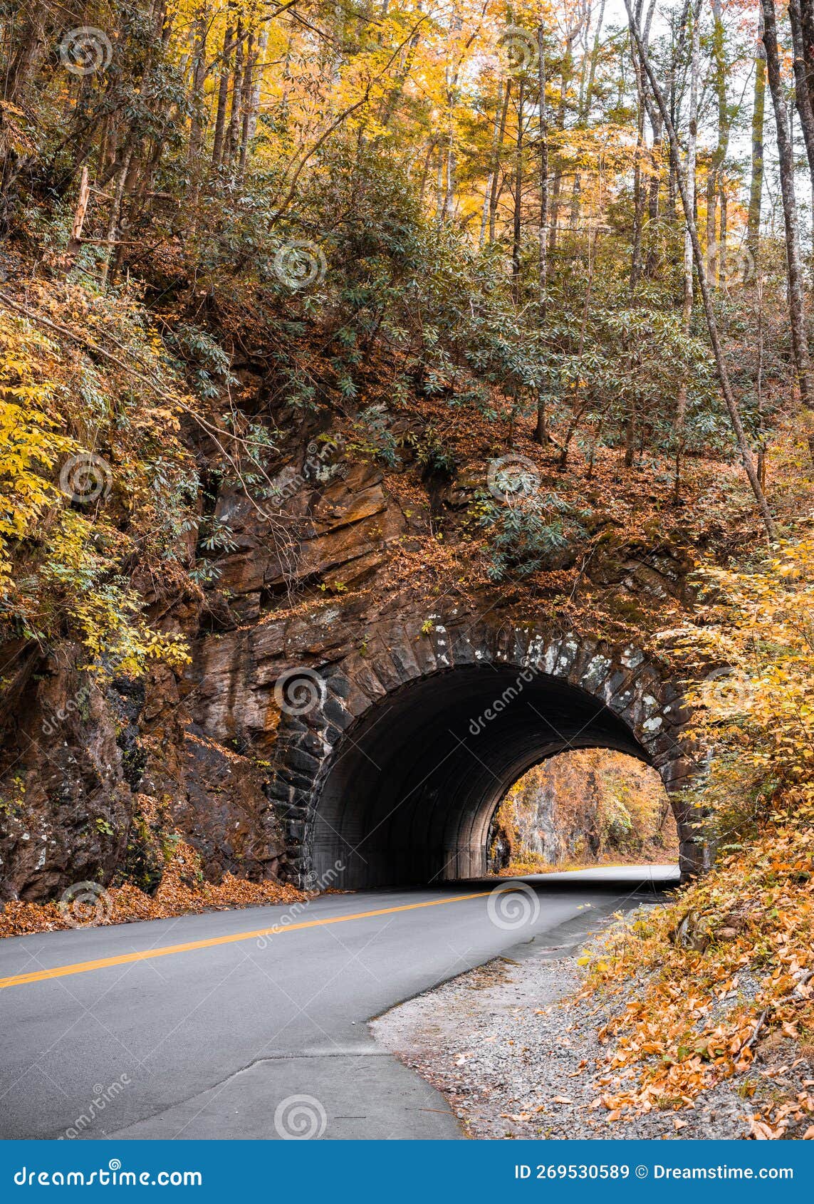 bote mountain tunnel through great smoky mountain national park in tennessee