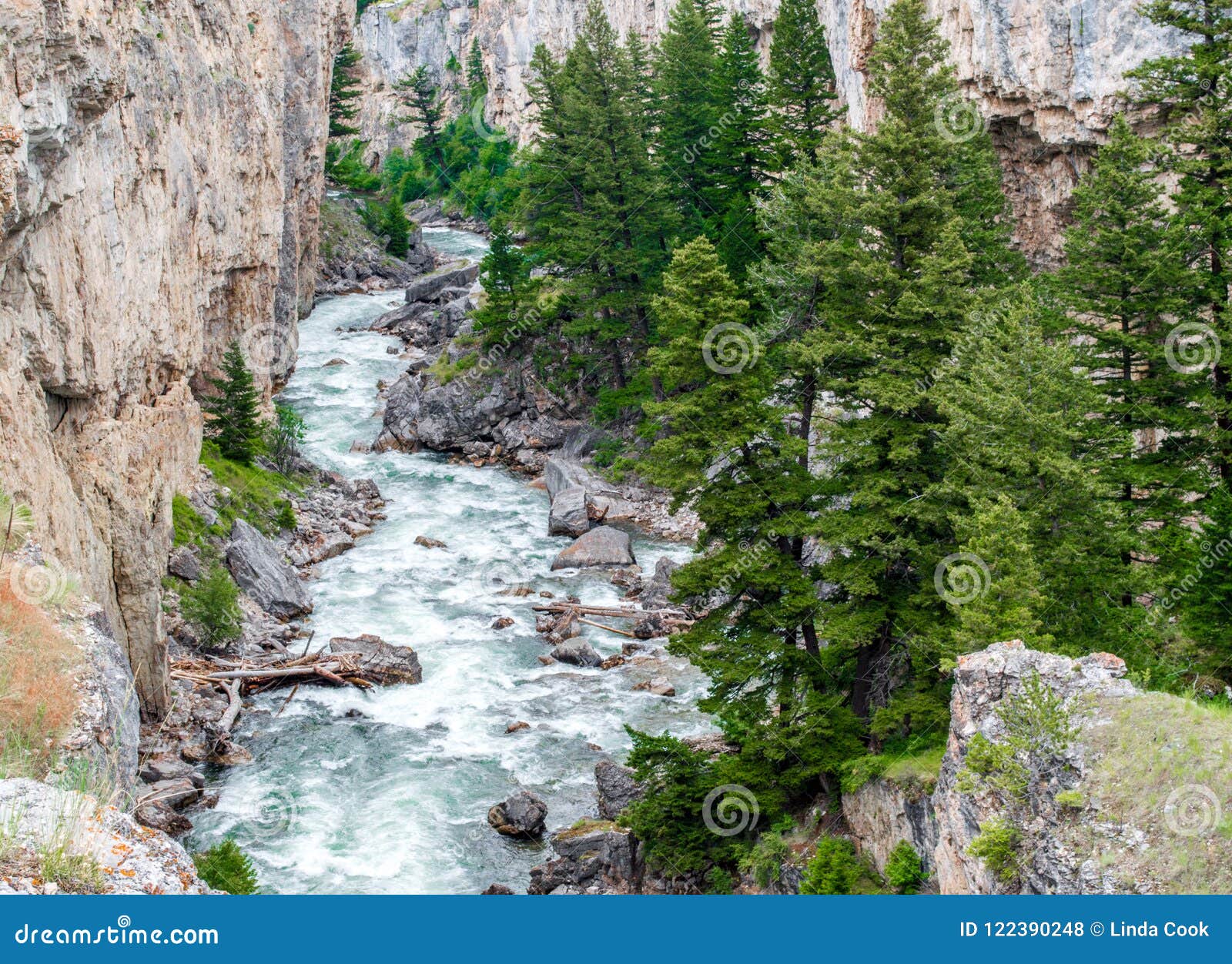 boulder river flowing through rocky canyon in montana