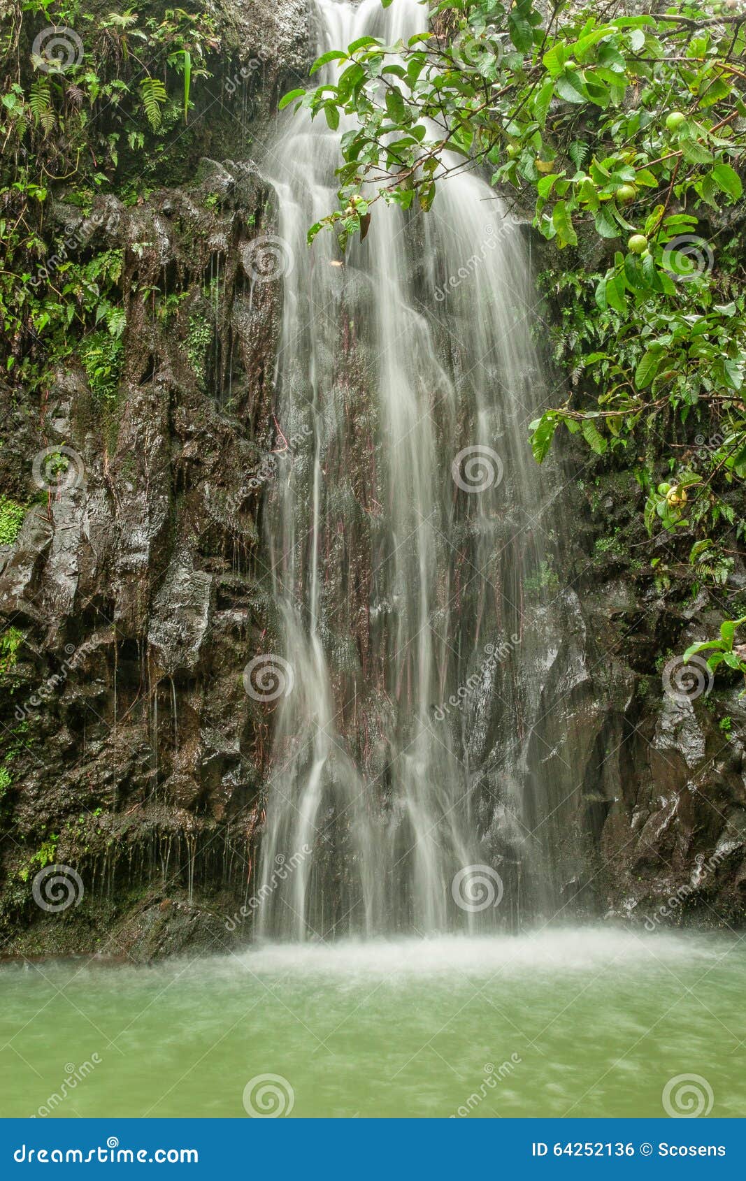 Scenic Island Waterfall. A beautiful waterfall on the road to hana on the hawaiian island of maui