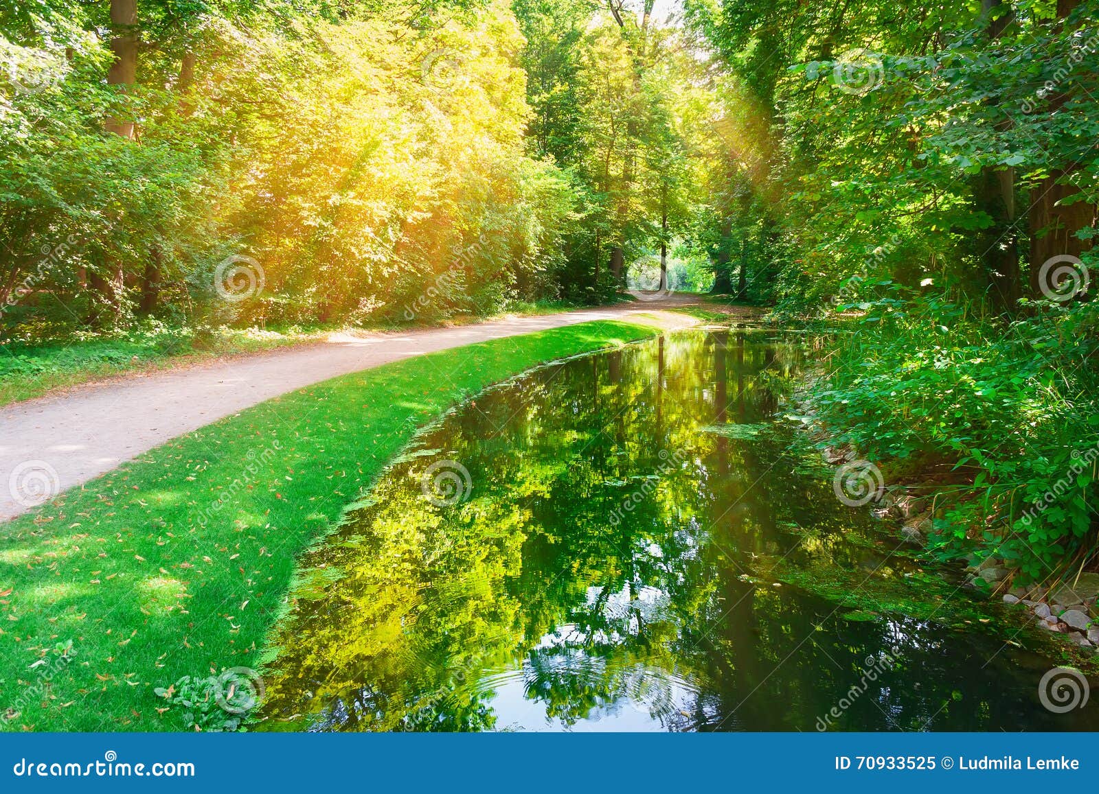 Scenic Lake in the Summer Park. Stock Image Image of park, nature