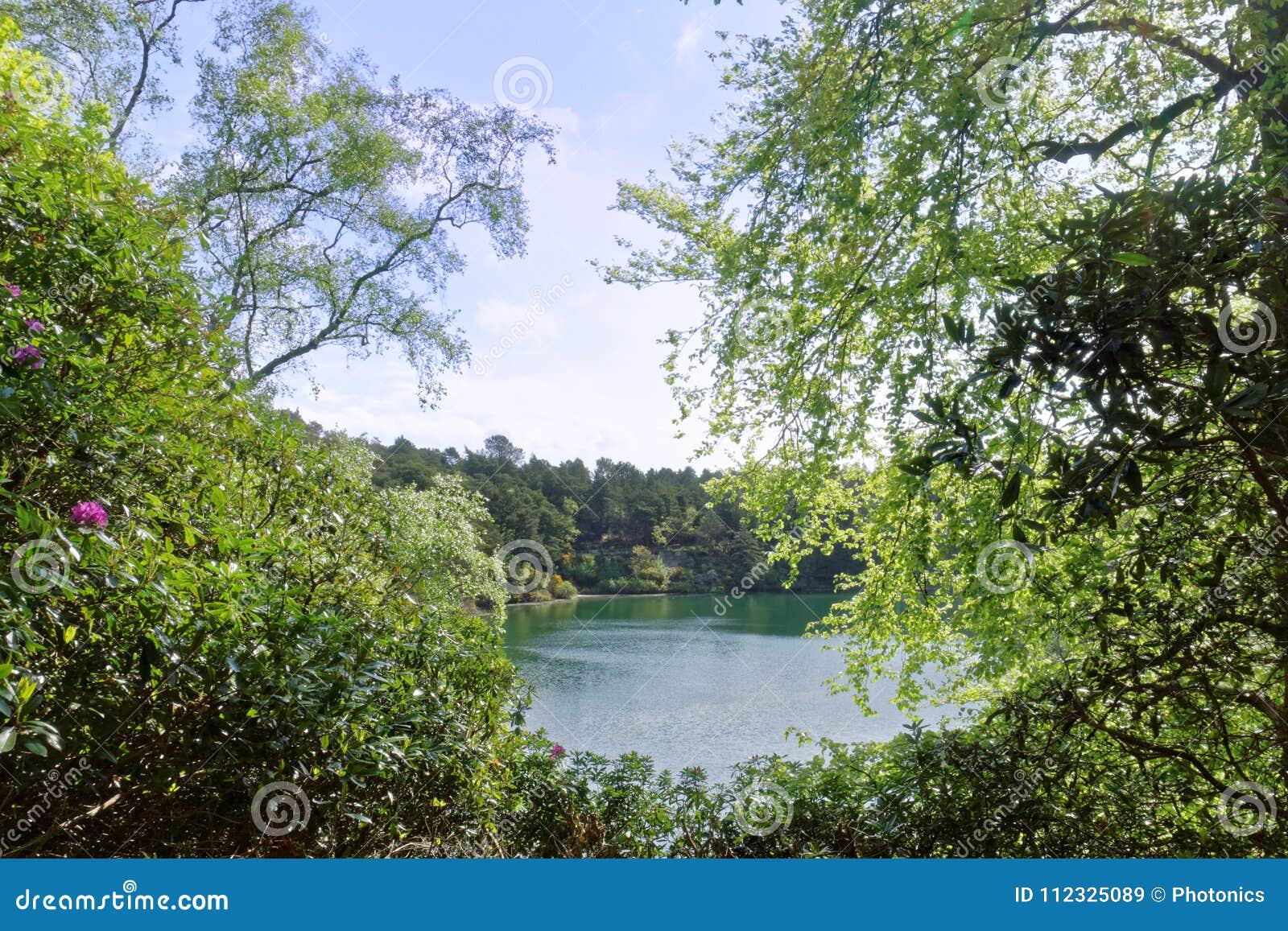 Scenic Lake and Woodlands at the Blue Pool, Dorset, England Stock Image ...