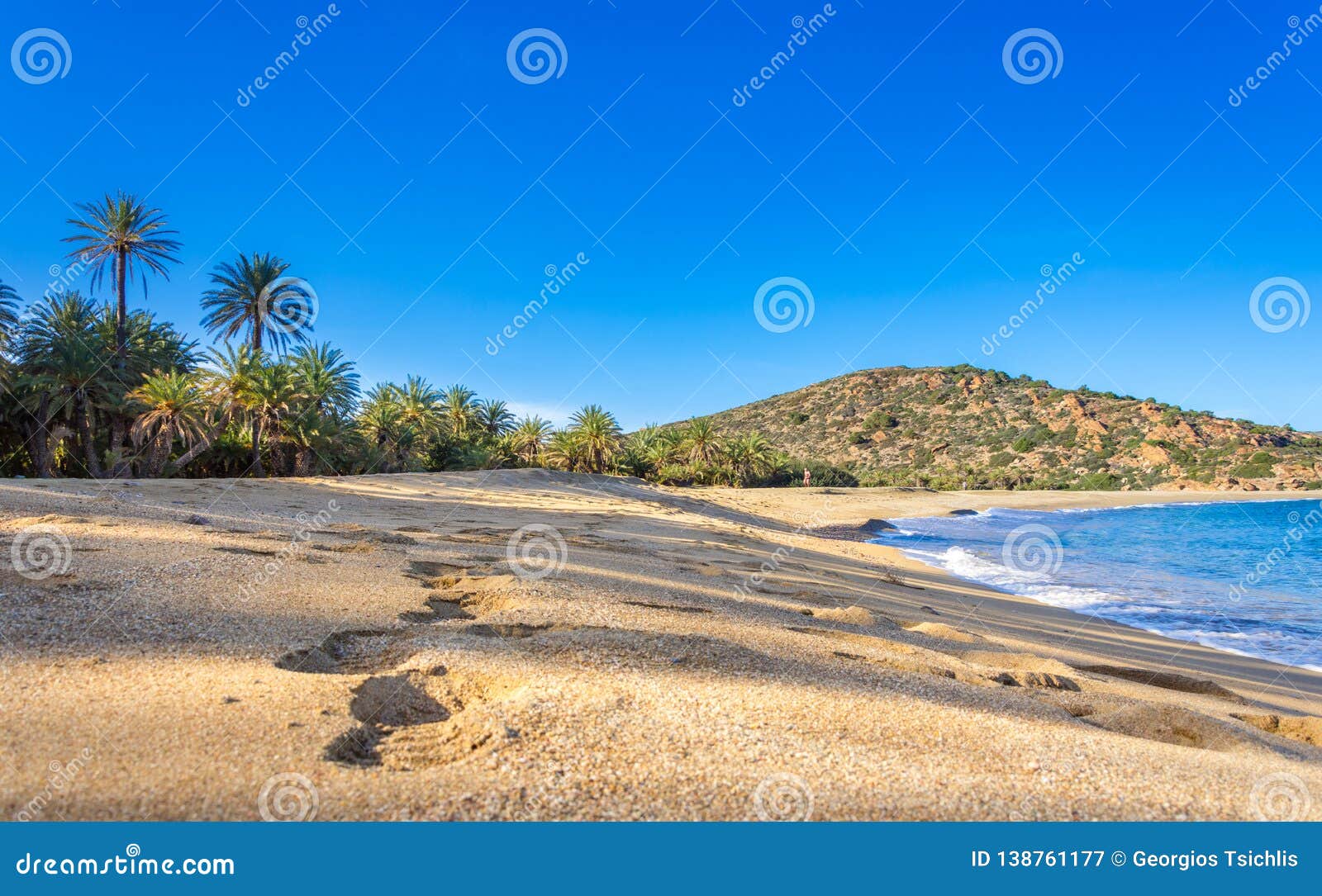 scenic landscape of palm trees, turquoise water and tropical beach, vai, crete, greece