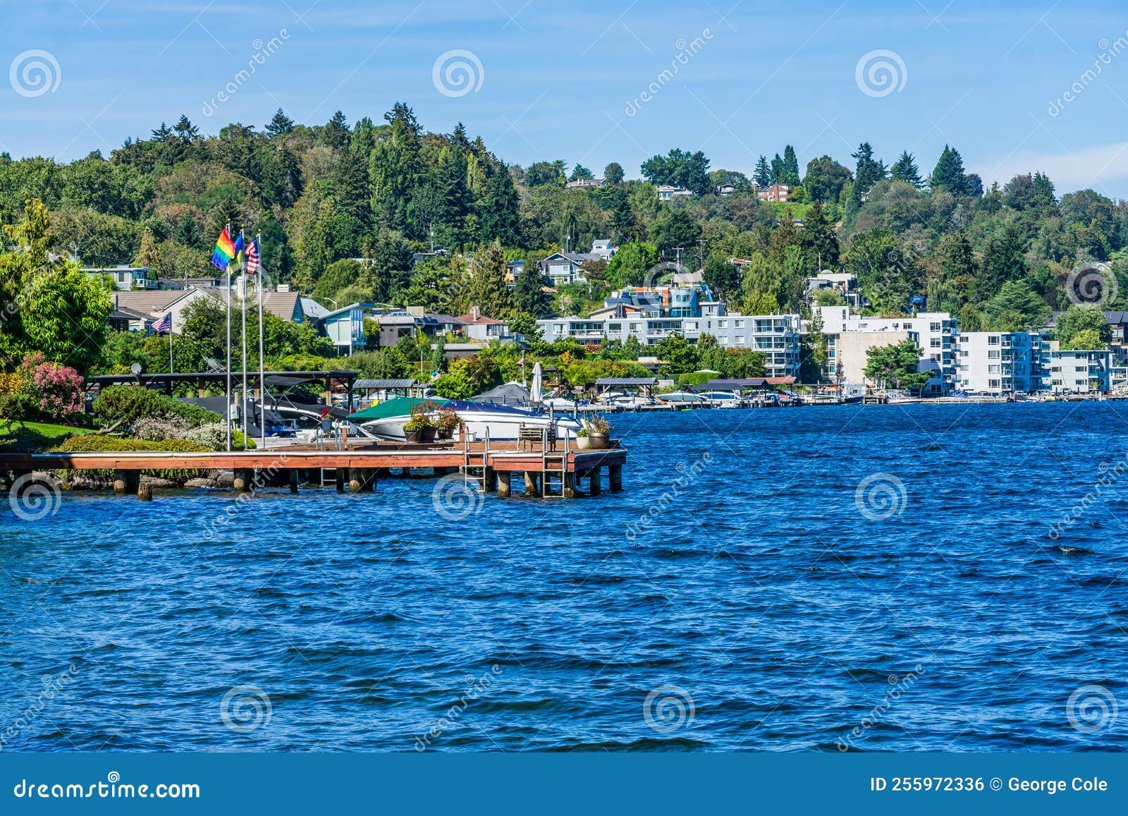 Scenic Leschi Waterfront stock photo. Image of leschi 255972336