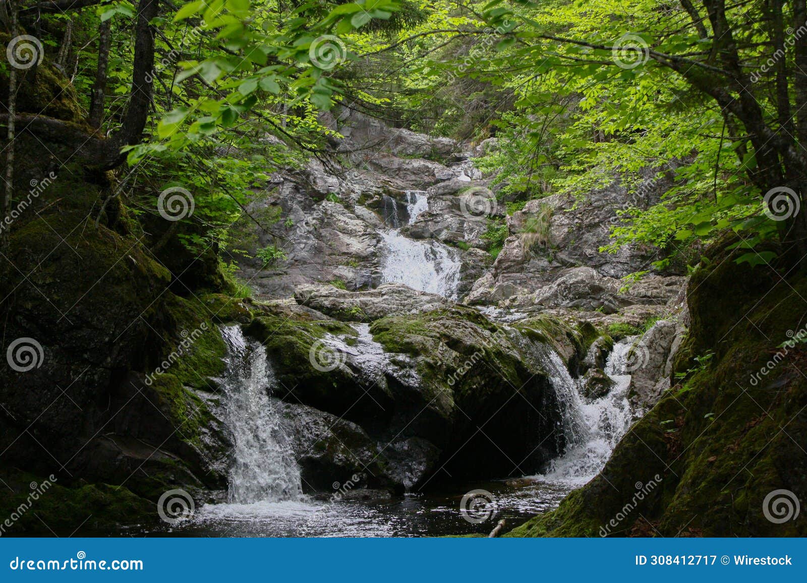 scenic memel falls in new brunswick cascading through lush forest with rocks and green foliage