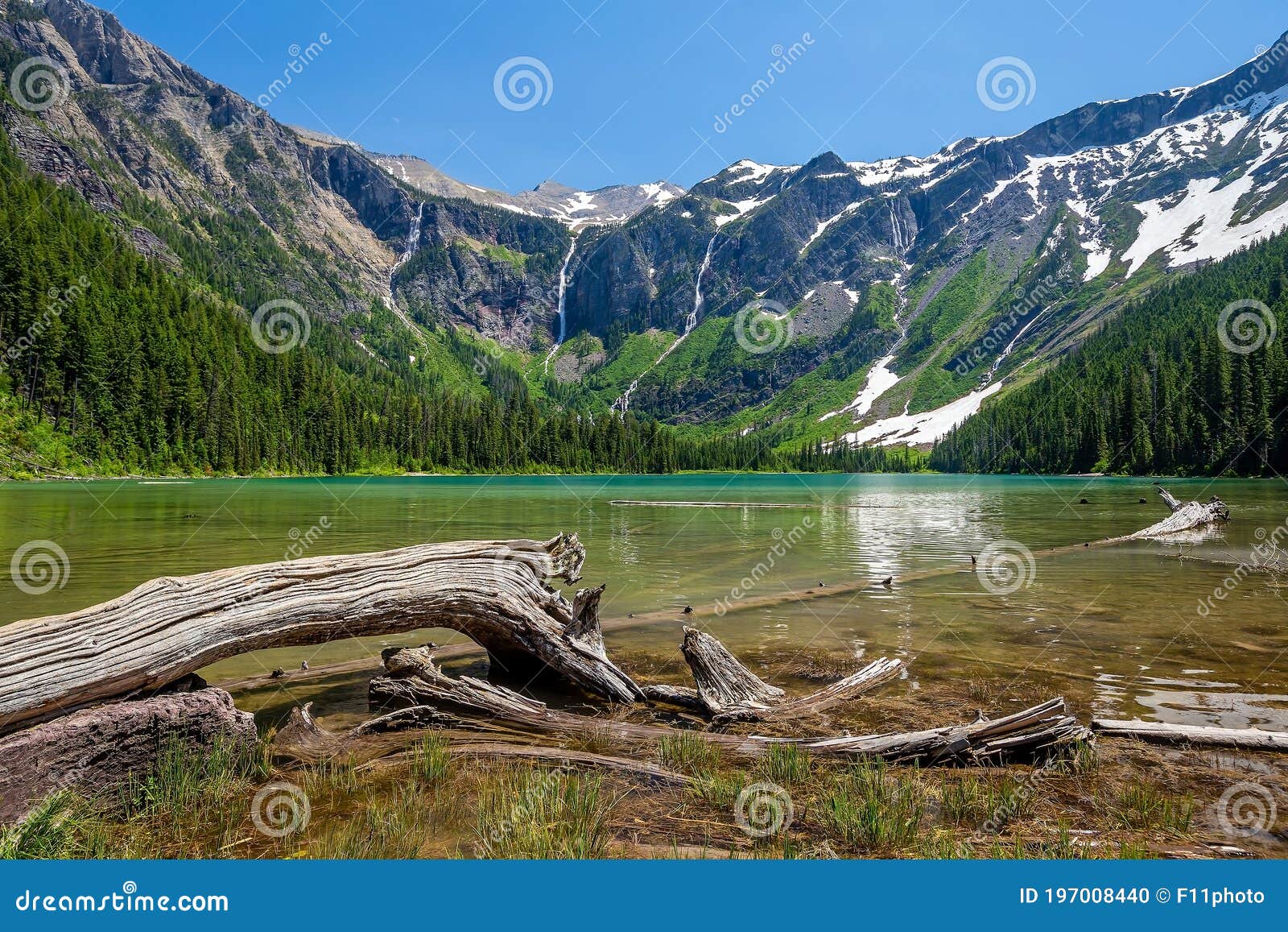 scenic mountain views, avalanche lake, glacier national park montana