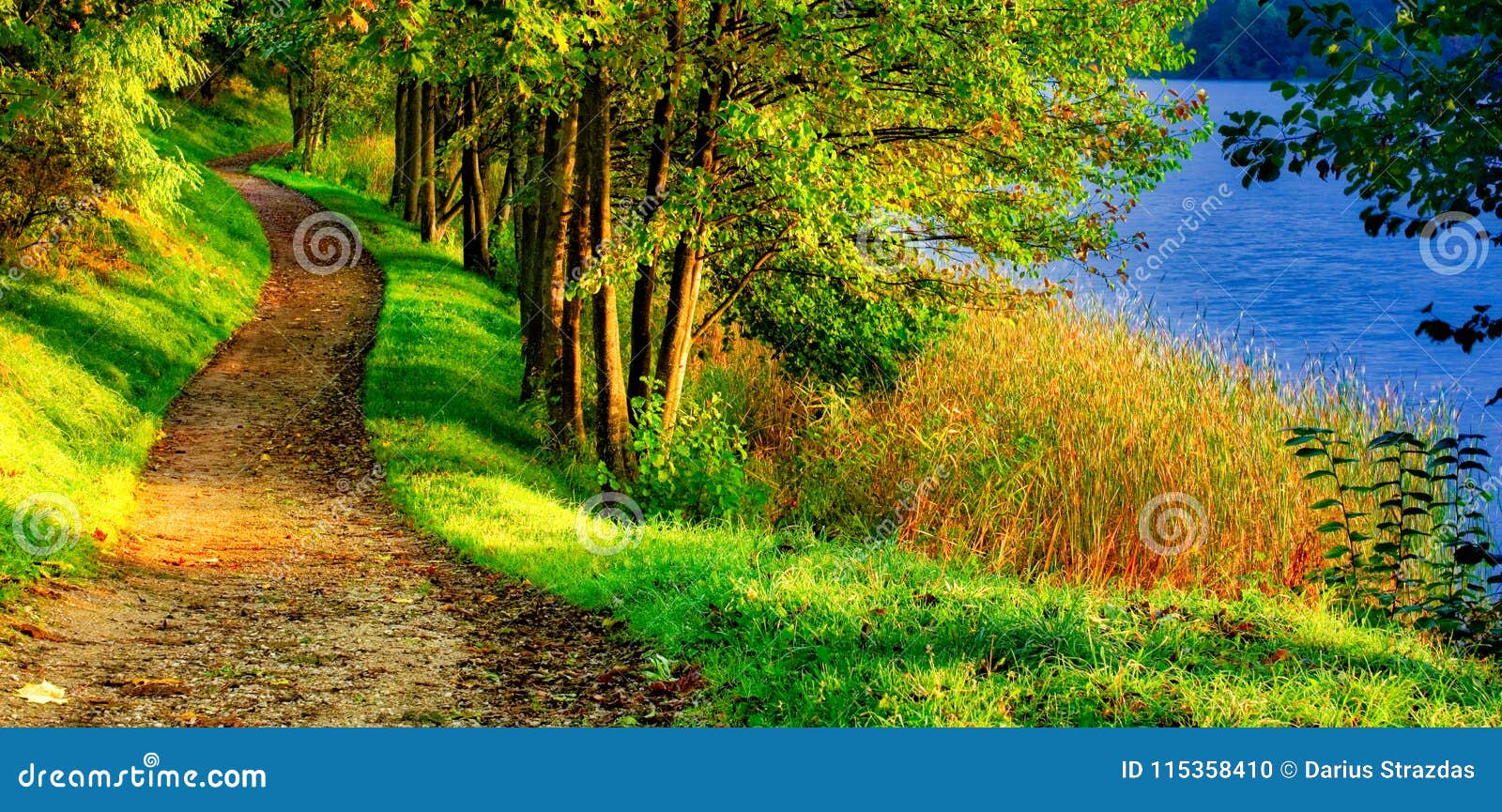 scenic nature landscape of path near lake