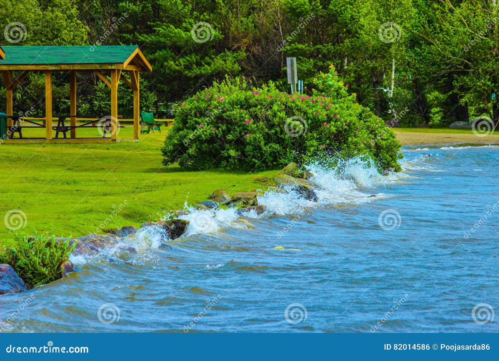 Blue Water Green Nature Wallpaper - Shardiff World