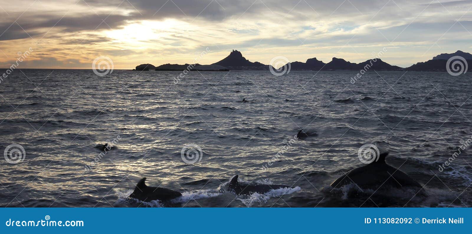 a scenic ocean view of a dolphin pod near san carlos, sonora, me
