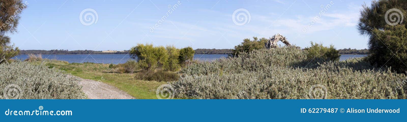 scenic panorama from the walkpath along the leschenault estuary bunbury western australia .