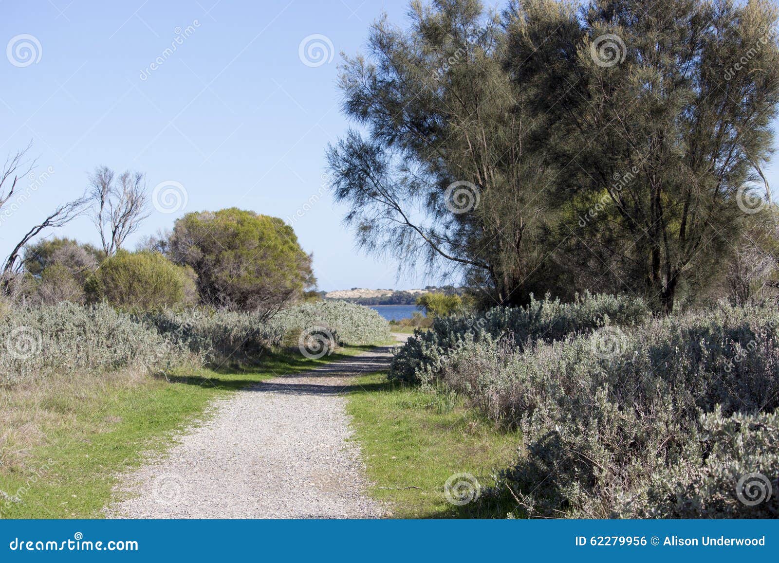 scenic panorama from the walkpath along the leschenault estuary bunbury western australia .