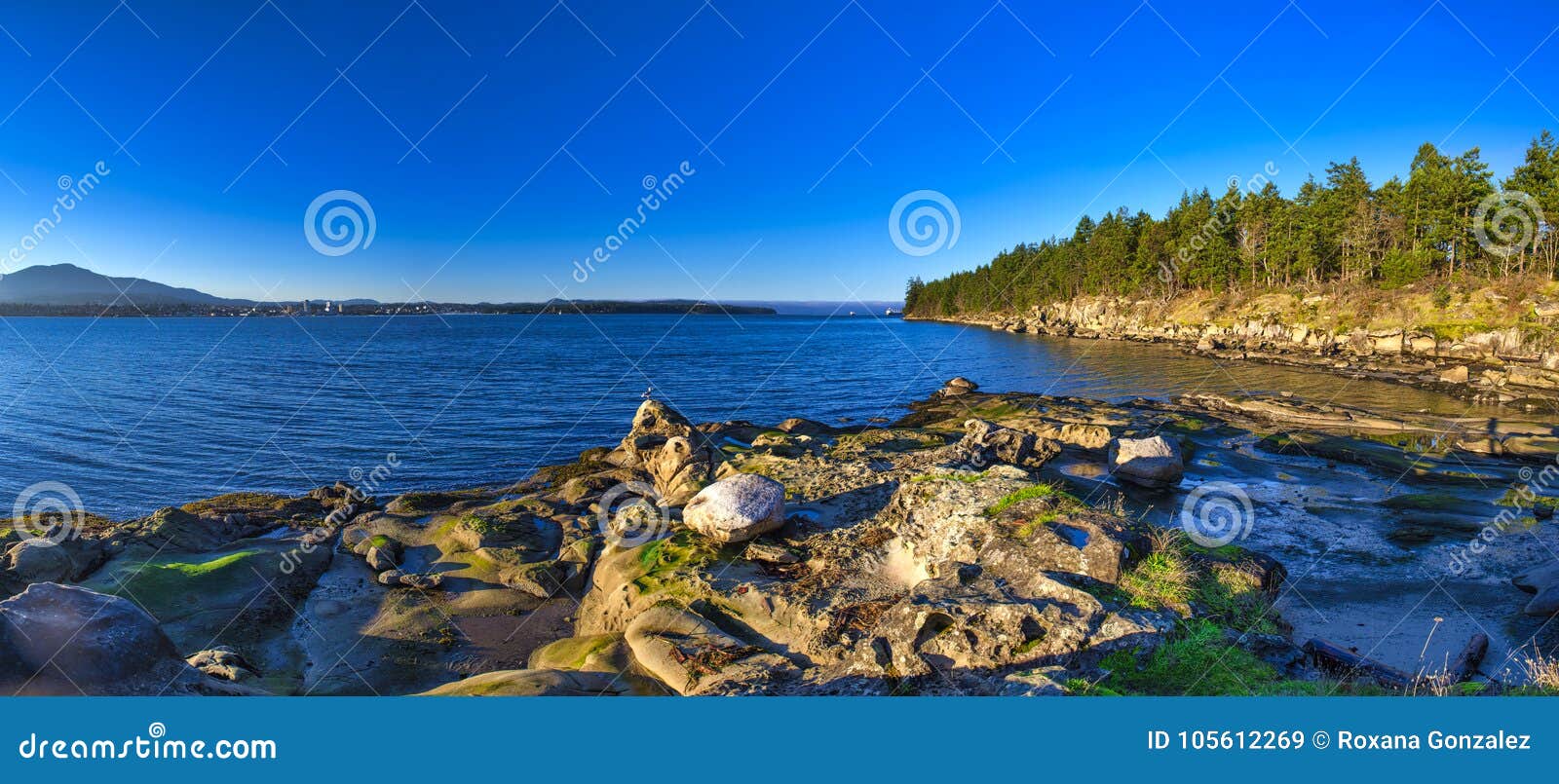 scenic panoramic view of the ocean and jack point and biggs park