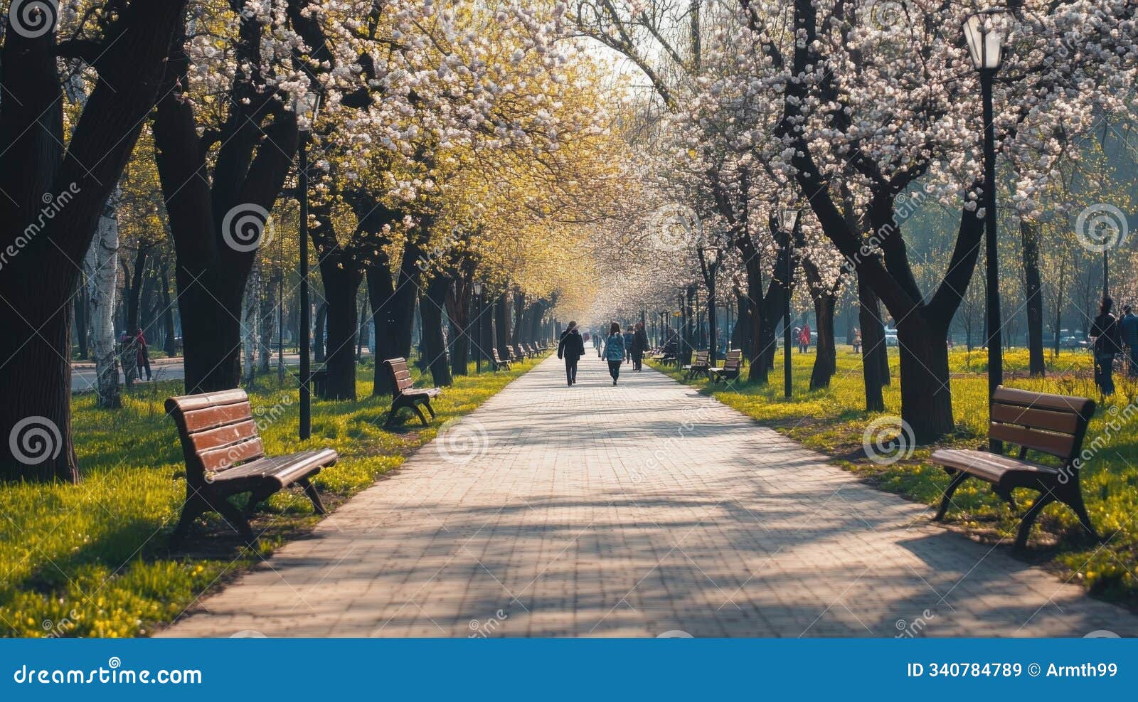 scenic park pathway with flowering trees and benches on a sunny day