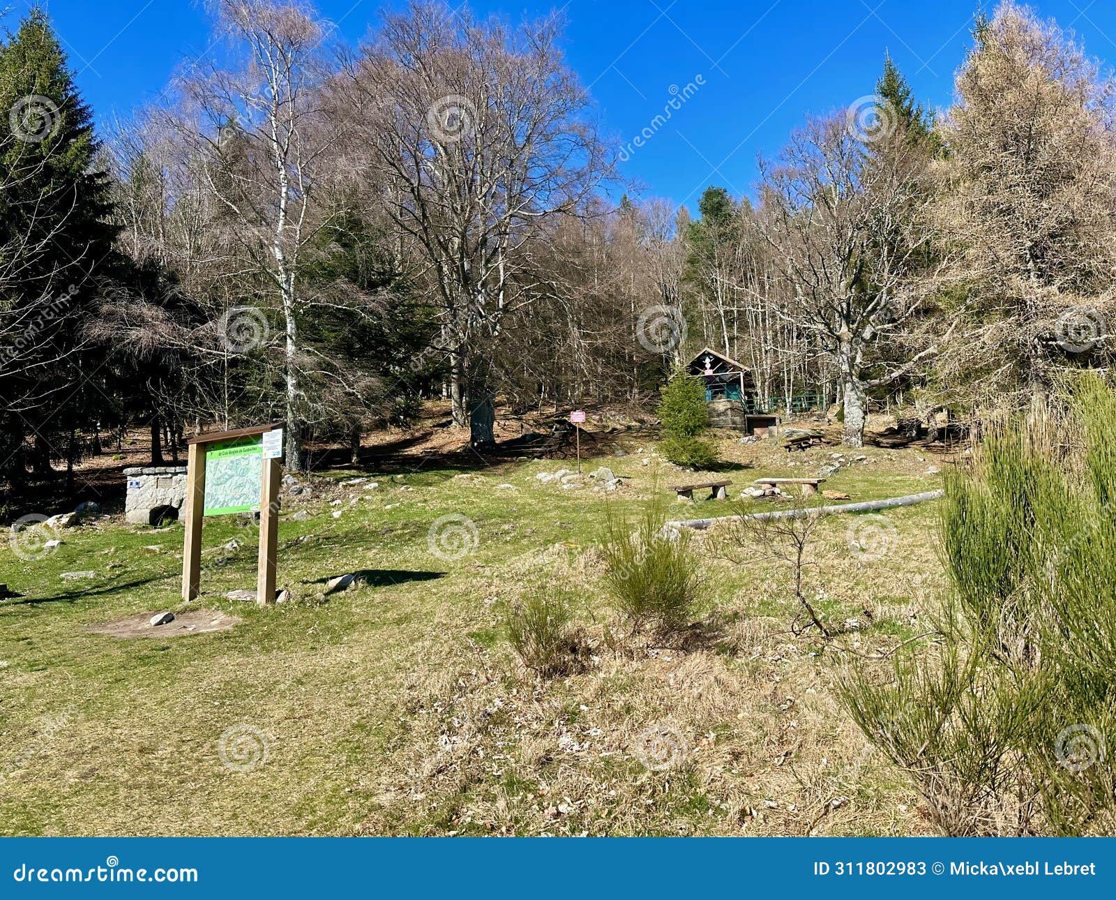 scenic rest area at col de judenhut on a hiking trail in rimbach-prÃÂ¨s-guebwiller, alsace, france