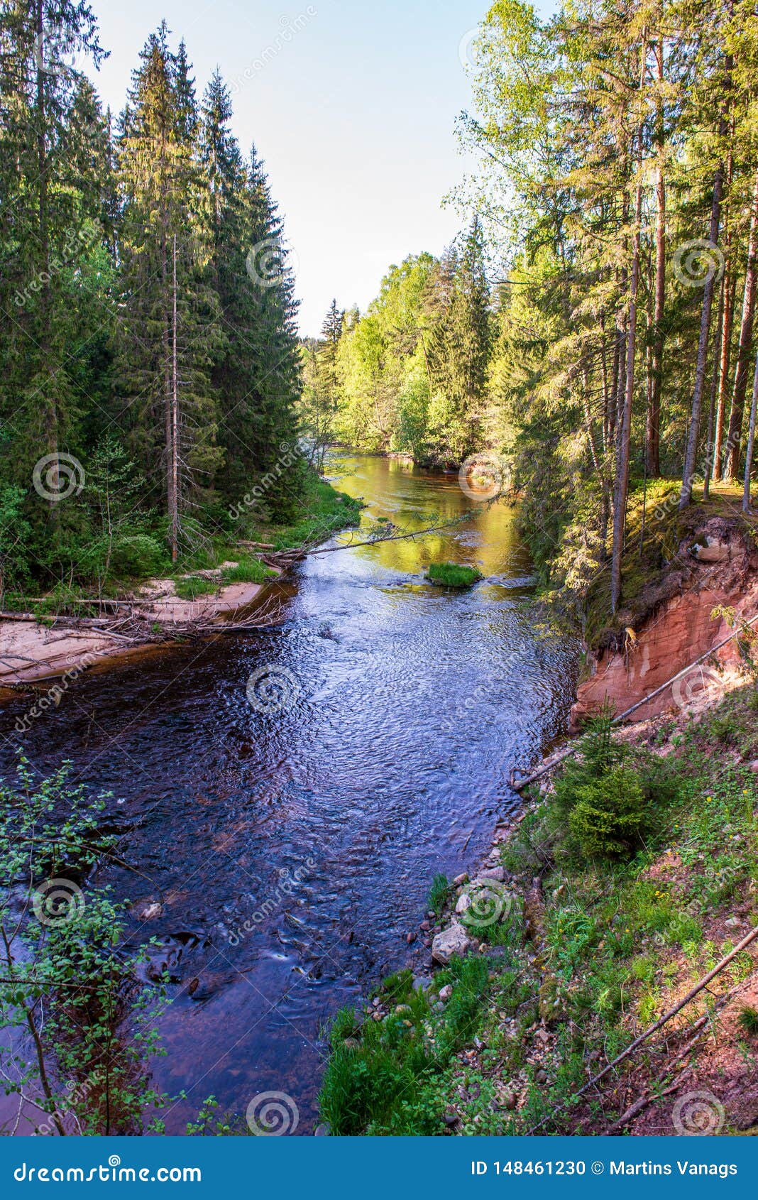 Scenic River View Landscape Of Forest Rocky Stream With Trees On The