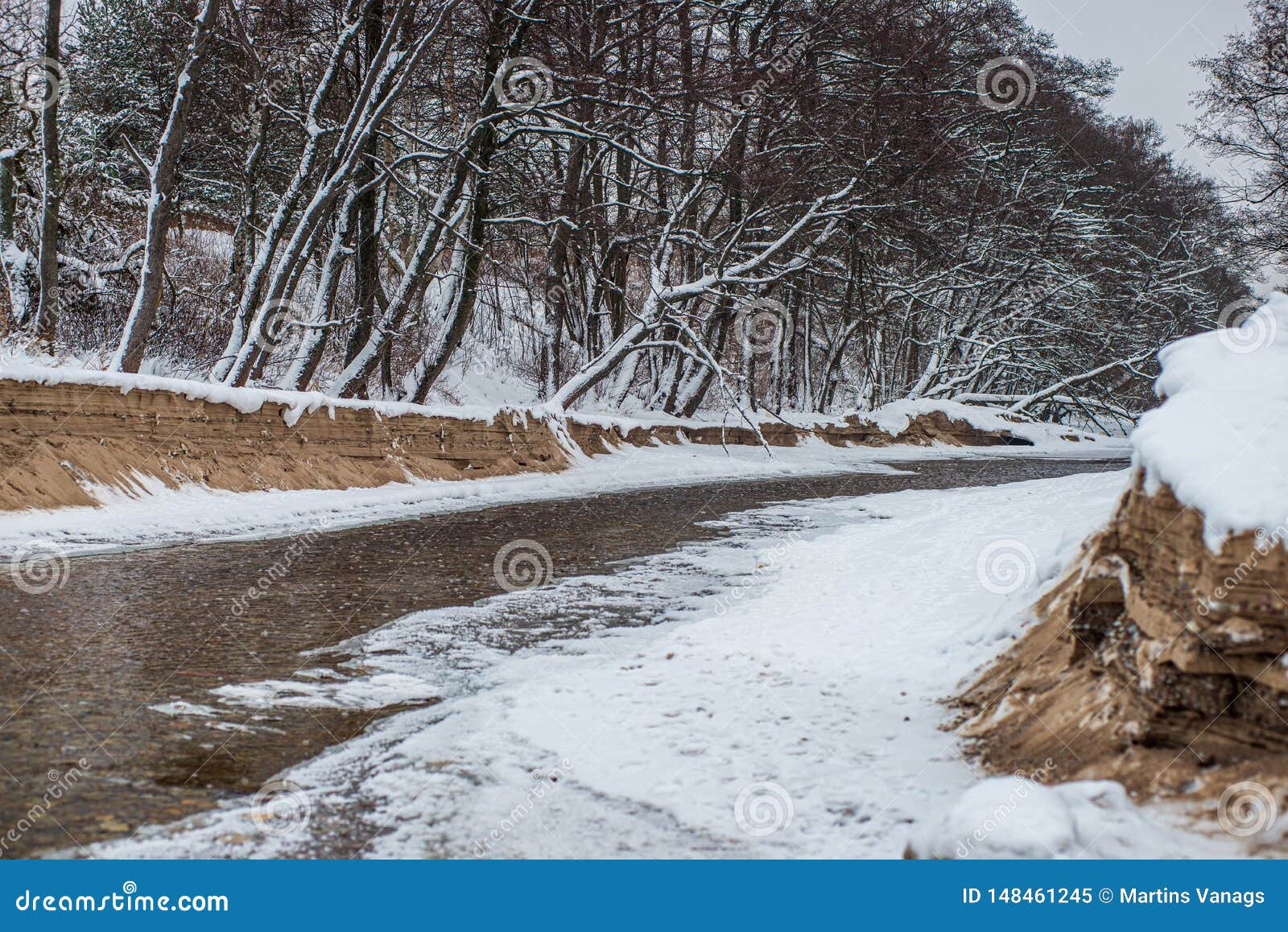 Scenic River View Landscape Of Forest Rocky Stream With Trees On The