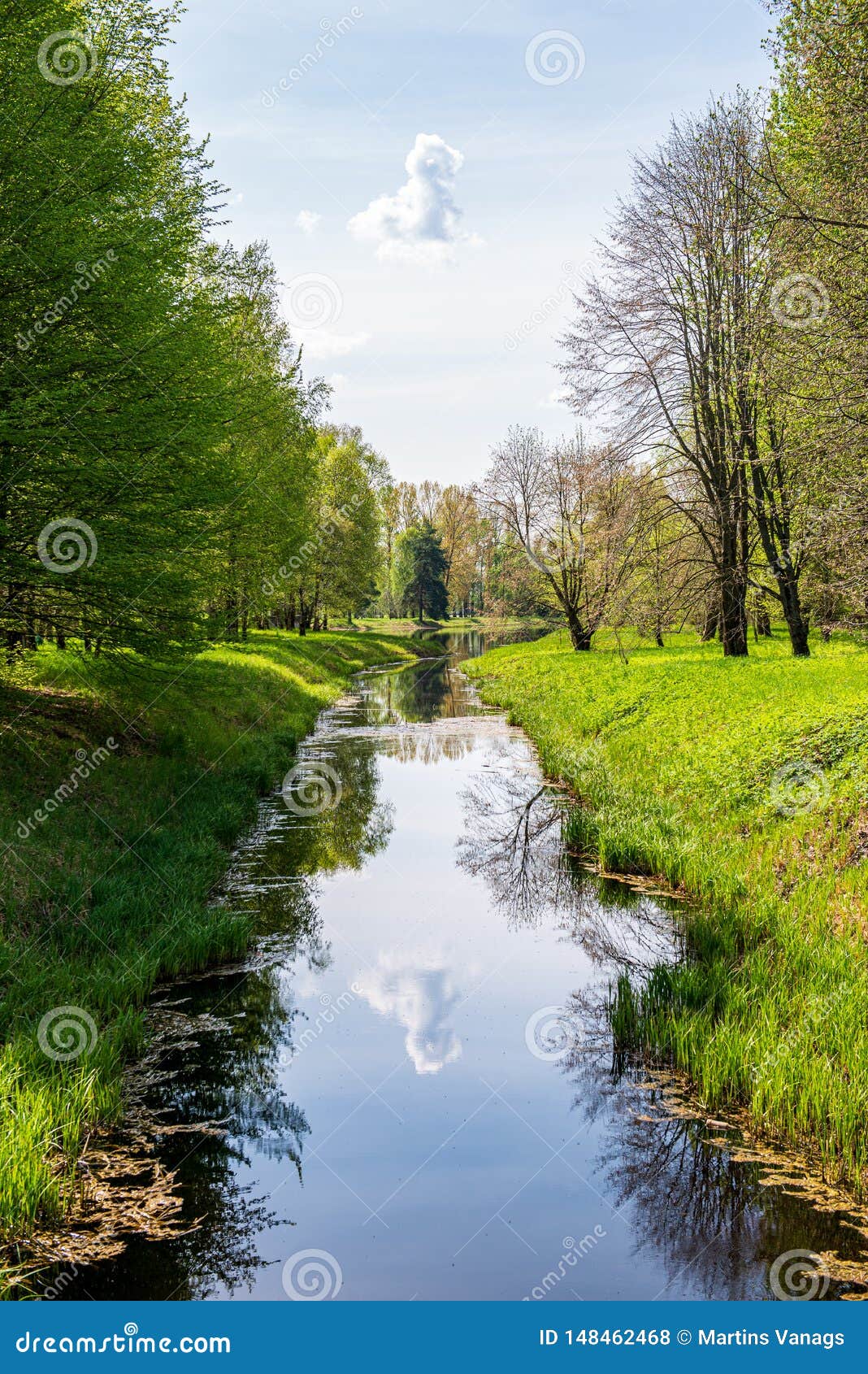 Scenic River View Landscape Of Forest Rocky Stream With Trees On The