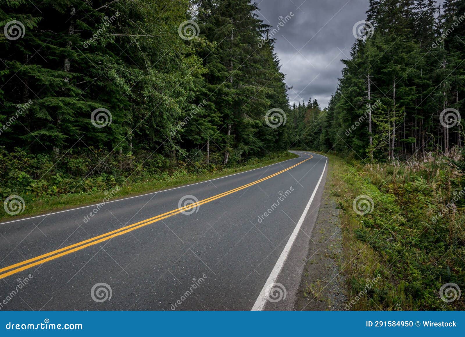 scenic road with a bright yellow centerline winding through a lush forest.