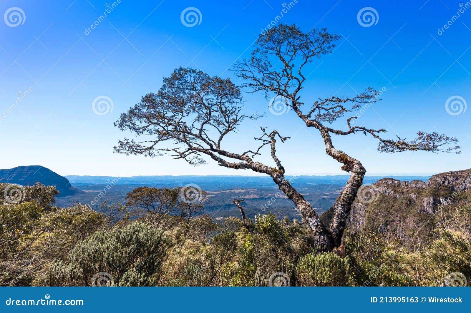 scenic serra geral mountain range in santa catarina, brazil