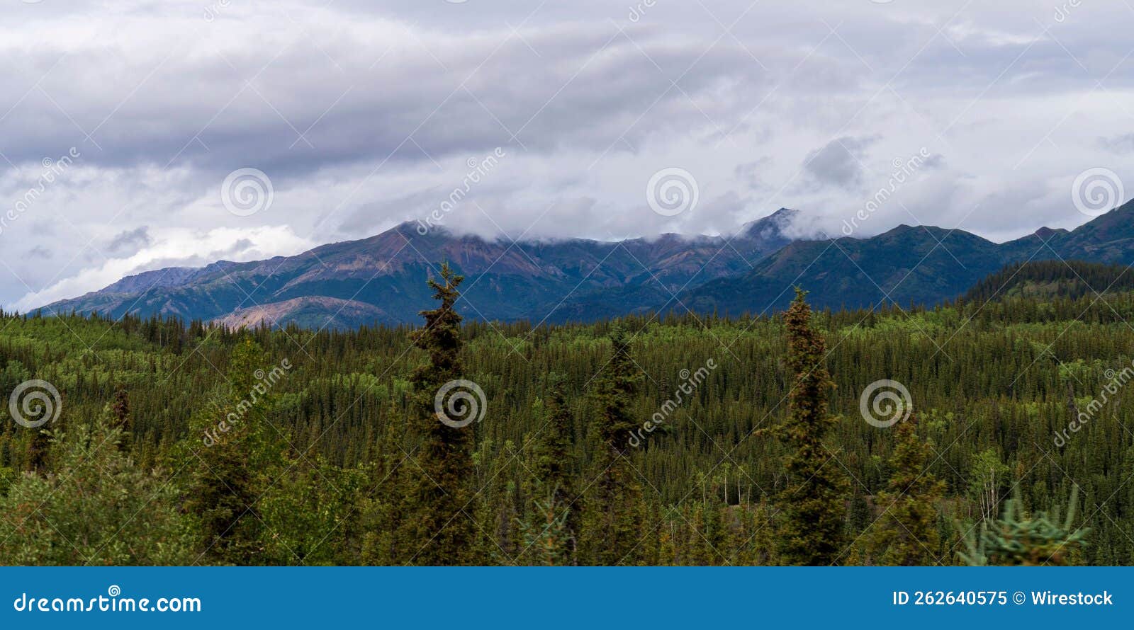 scenic shot of the alaska range in the southcentral region of alaska, usa under a cloudy sky
