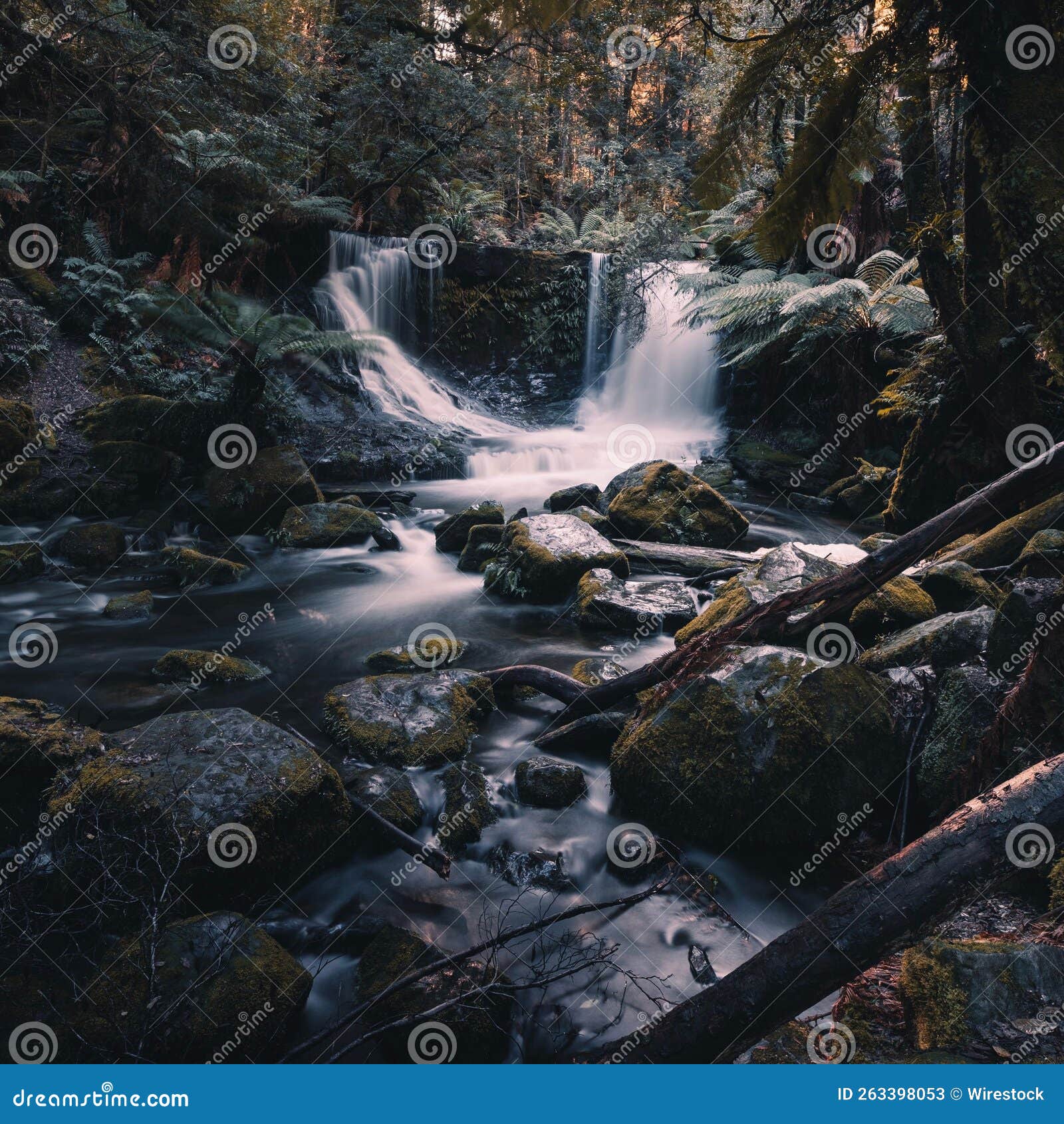 Scenic Shot Of The Horseshoe Falls In The Mount Field National Park In