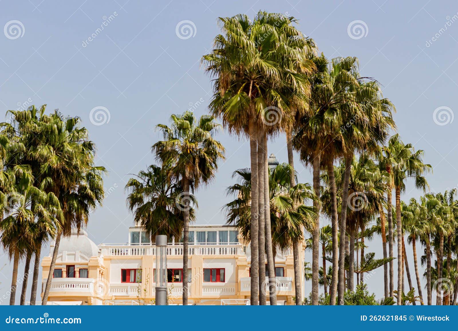 scenic shot of tall tropical palm trees in the background of ciutat jardi hotel