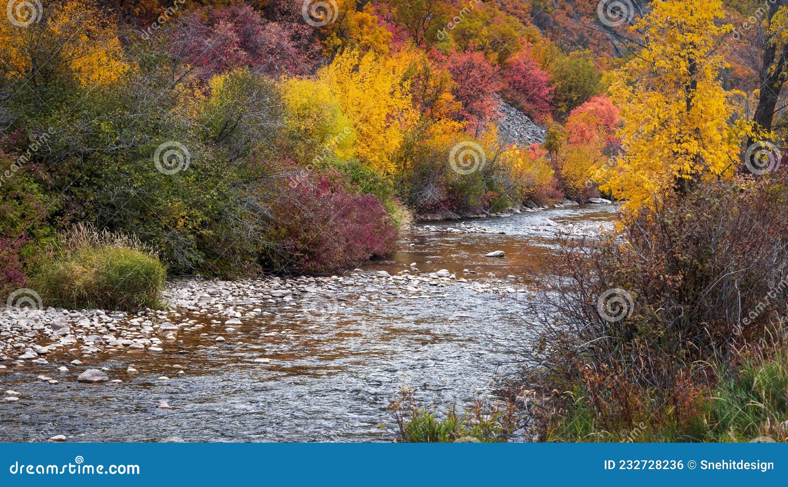 Scenic South Fork Ogden River in Utah Stock Photo Image of harmony