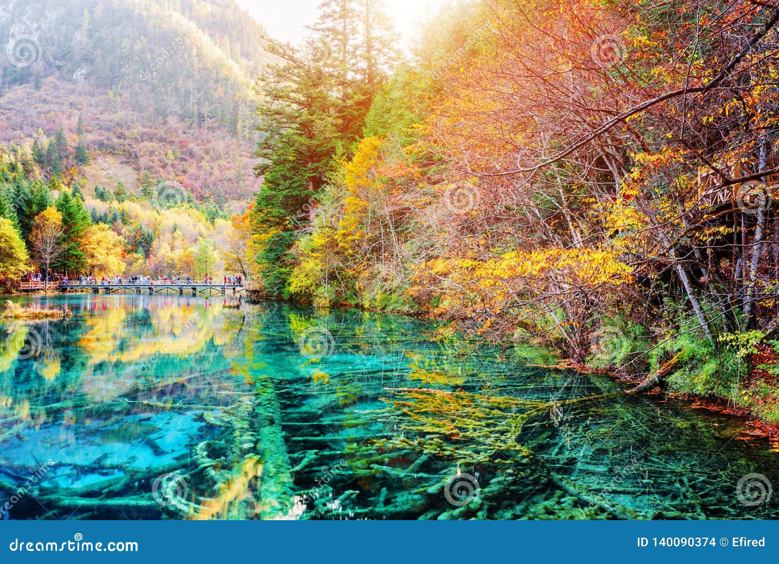 Scenic Submerged Tree Trunks In Water Of The Five Flower Lake Stock