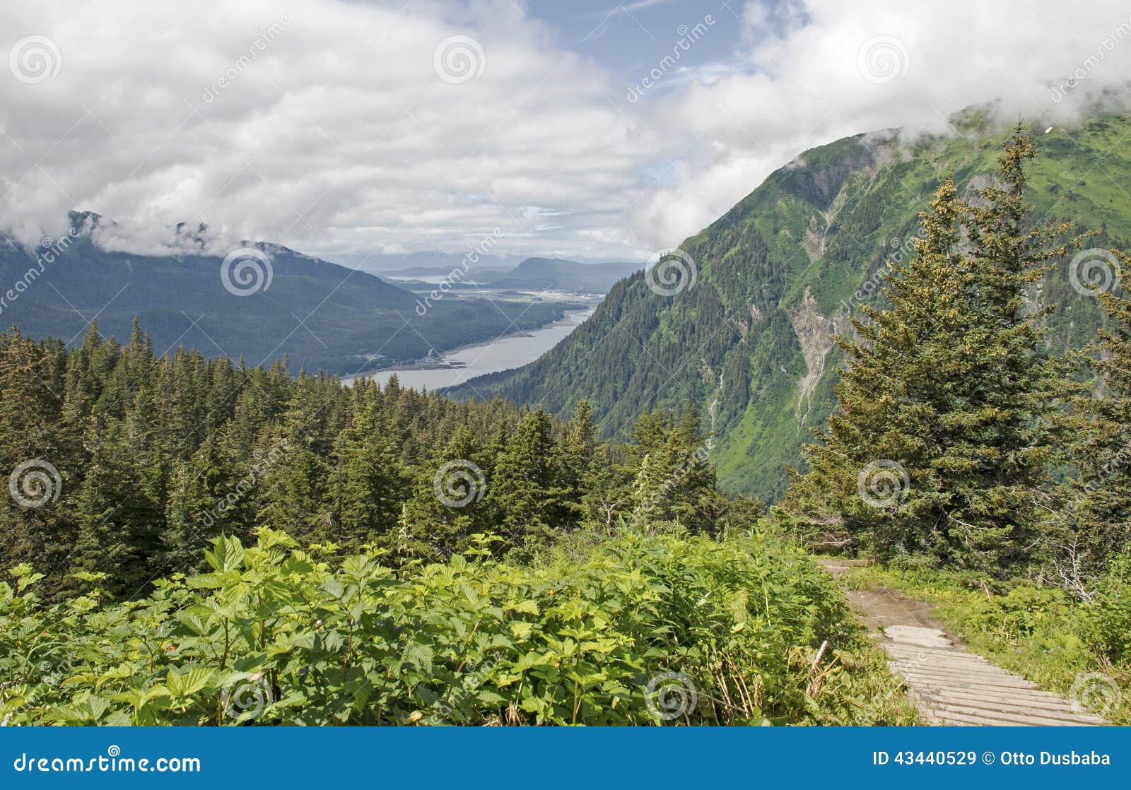 Scenic Trail in Juneau Alaska Stock Image Image of gastineau