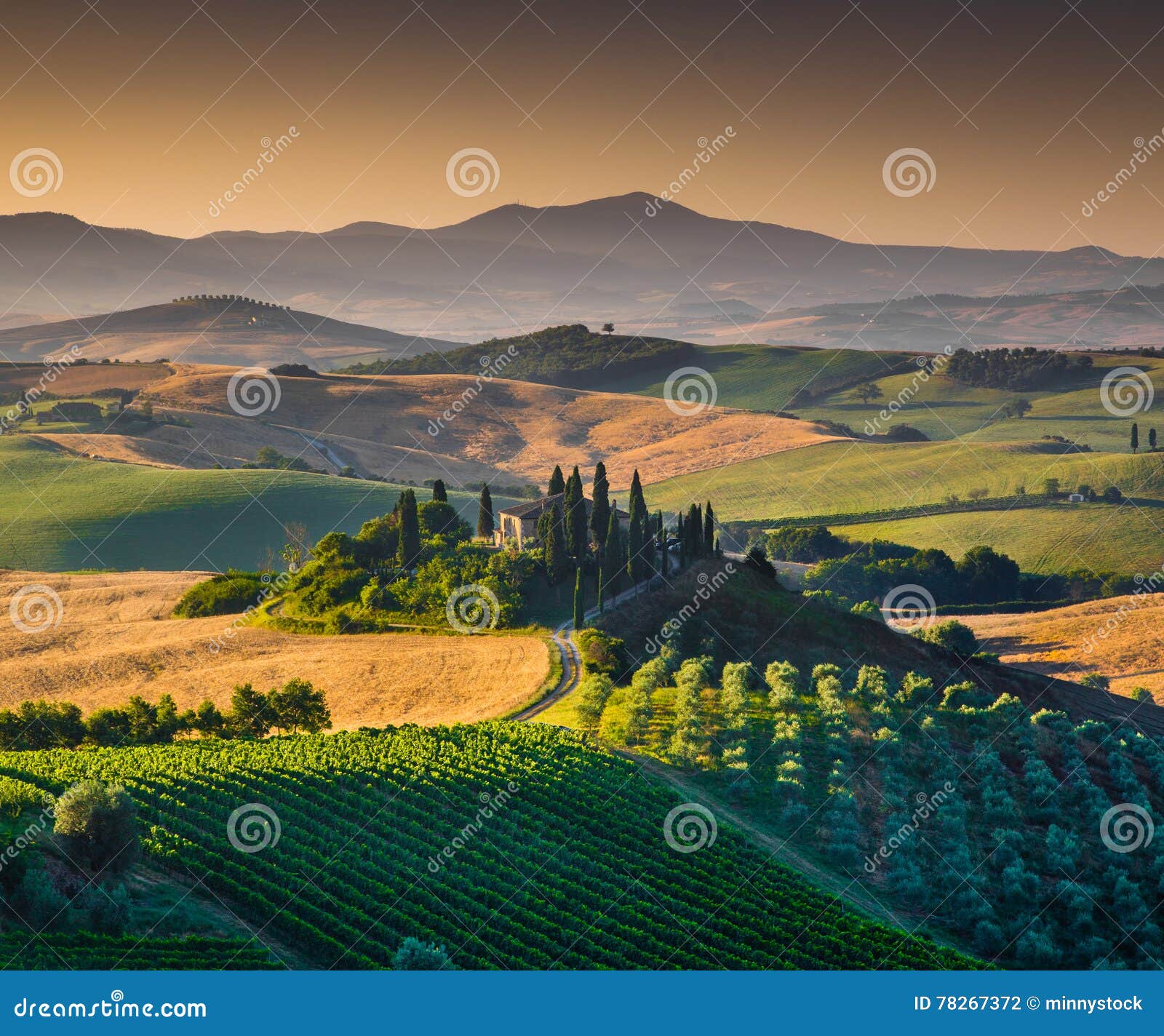 scenic tuscany landscape with rolling hills and valleys at sunrise