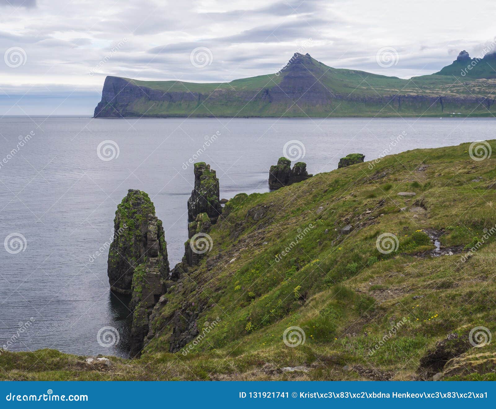 landing lancering Stadion Scenic View on Beautiful Hornbjarg Cliffs in West Fjords, Remote Nature  Reserve Hornstrandir in Iceland, with Big Bird Cliff Rocks Stock Image -  Image of cliff, beautiful: 131921741