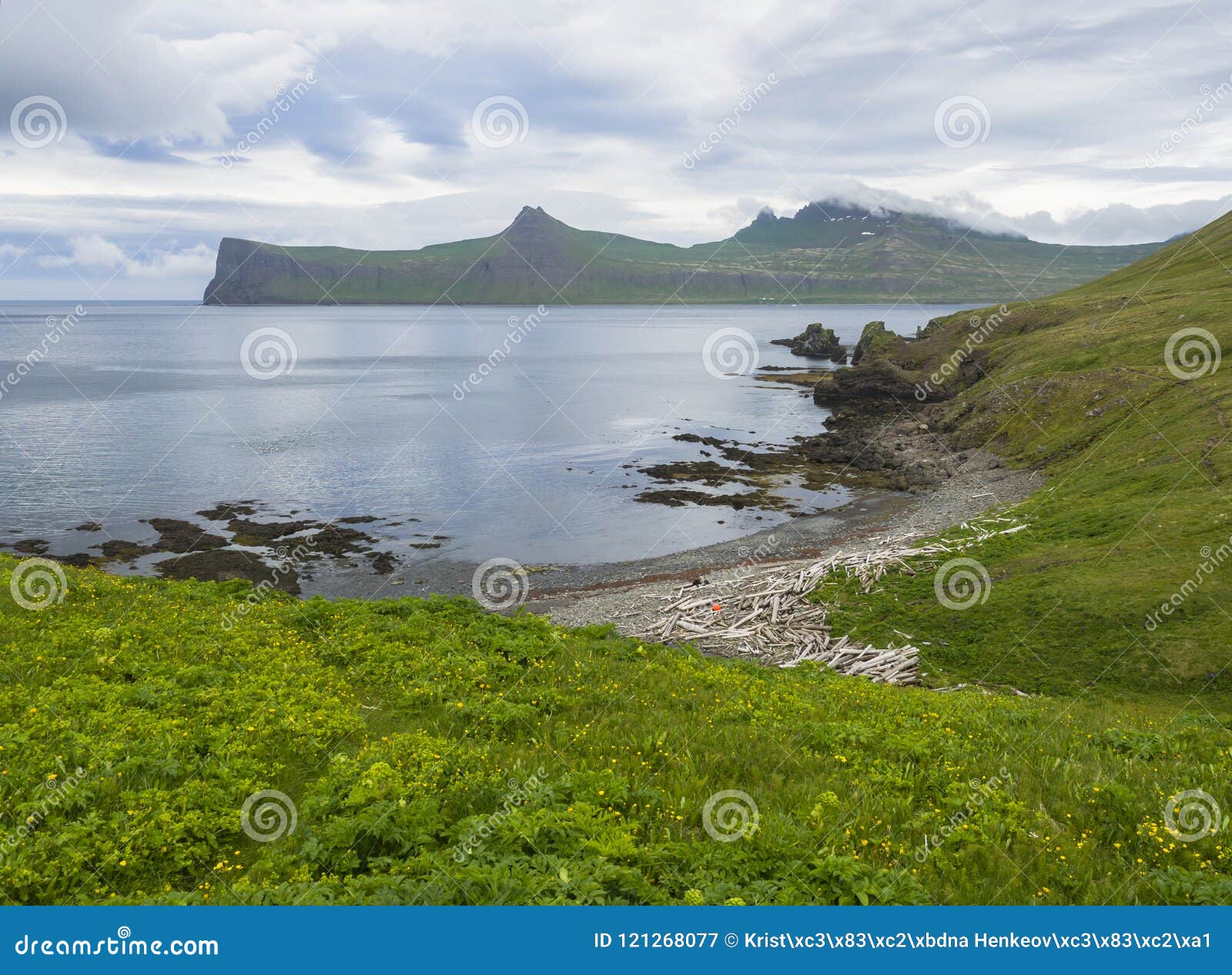 Drama Litteratur forbruge Scenic View on Beautiful Hornbjarg Cliffs in West Fjords, Remote Nature  Reserve Hornstrandir in Iceland, with Lush Green Grass Mea Stock Image -  Image of cove, fjords: 121268077