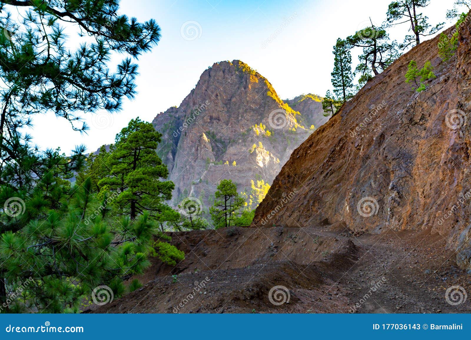 scenic view on caldera de taburiente with green pine forest, ravines and rocky mountains near viewpoint cumbrecita, la palma,