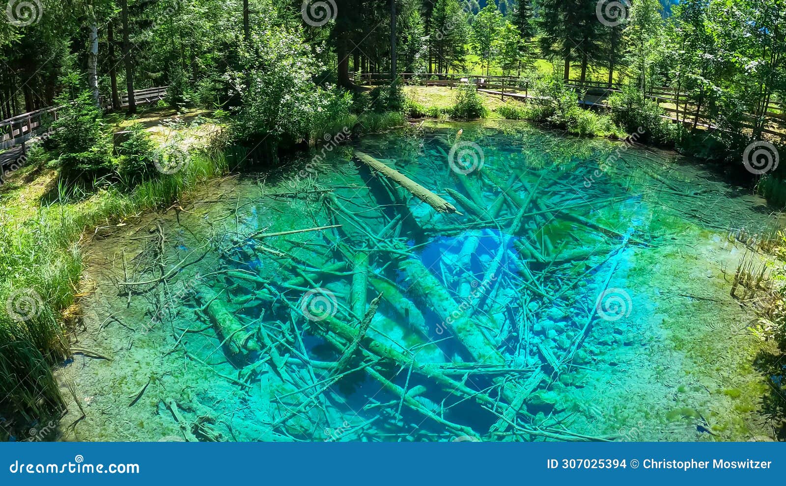 bodental - scenic view of crystal clear waters with submerged logs of lake meerauge