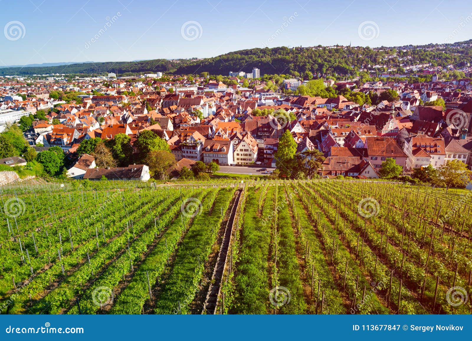 view of esslingen with vineyards from dicker turm