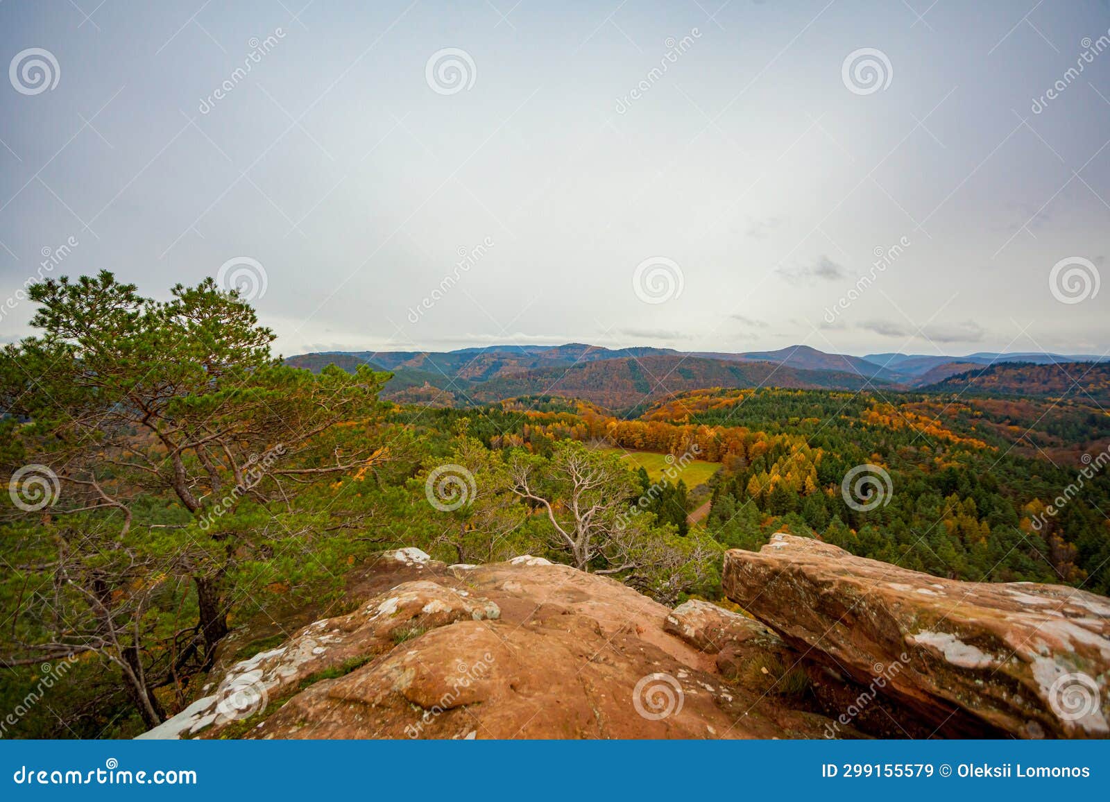 a scenic view of a forest with mountains in the background and trees in the foreground with yellow and green leaves