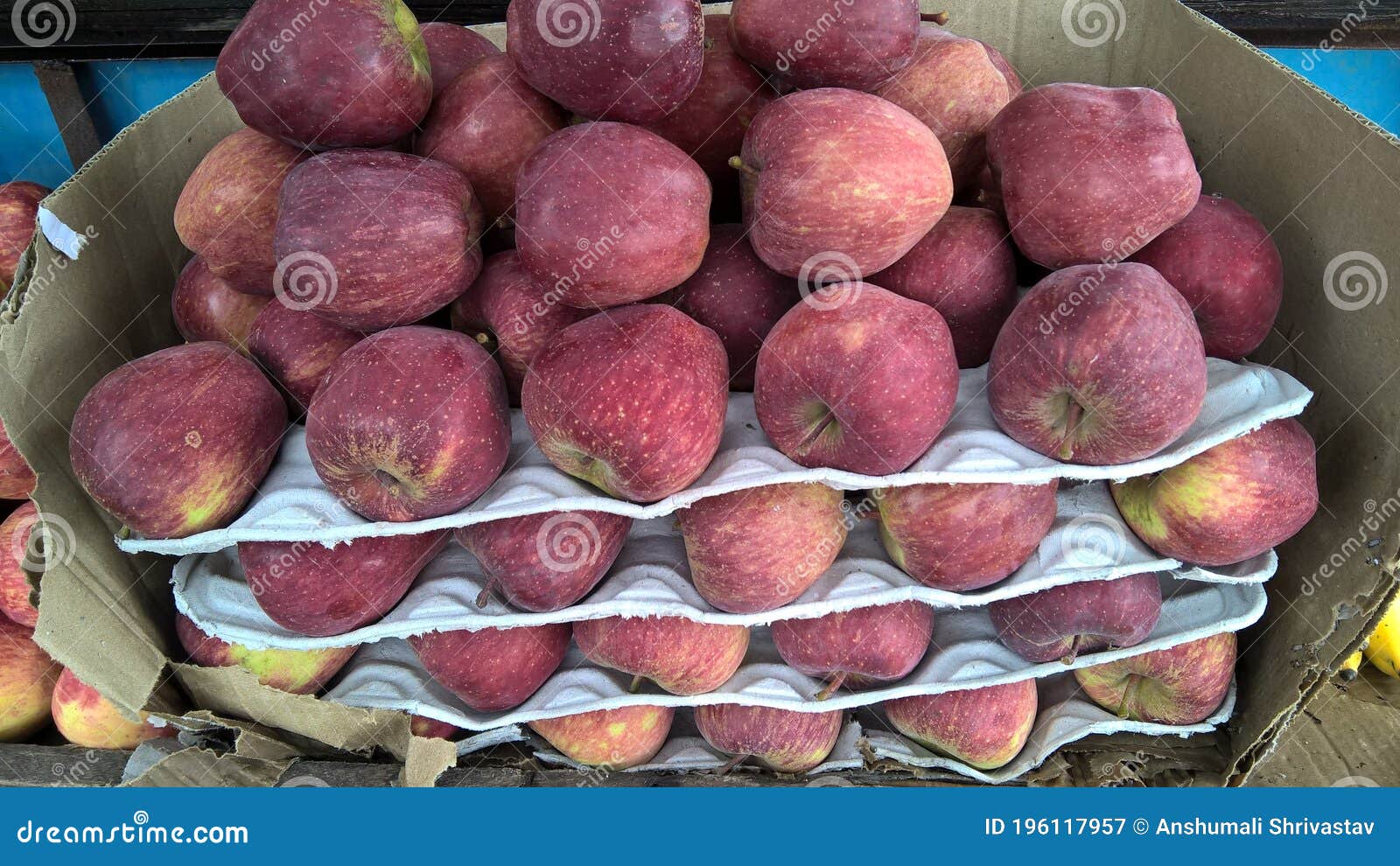 Scenic View of Fresh Apples Kept Well Stocked Stock Image Image of health, apples 196117957