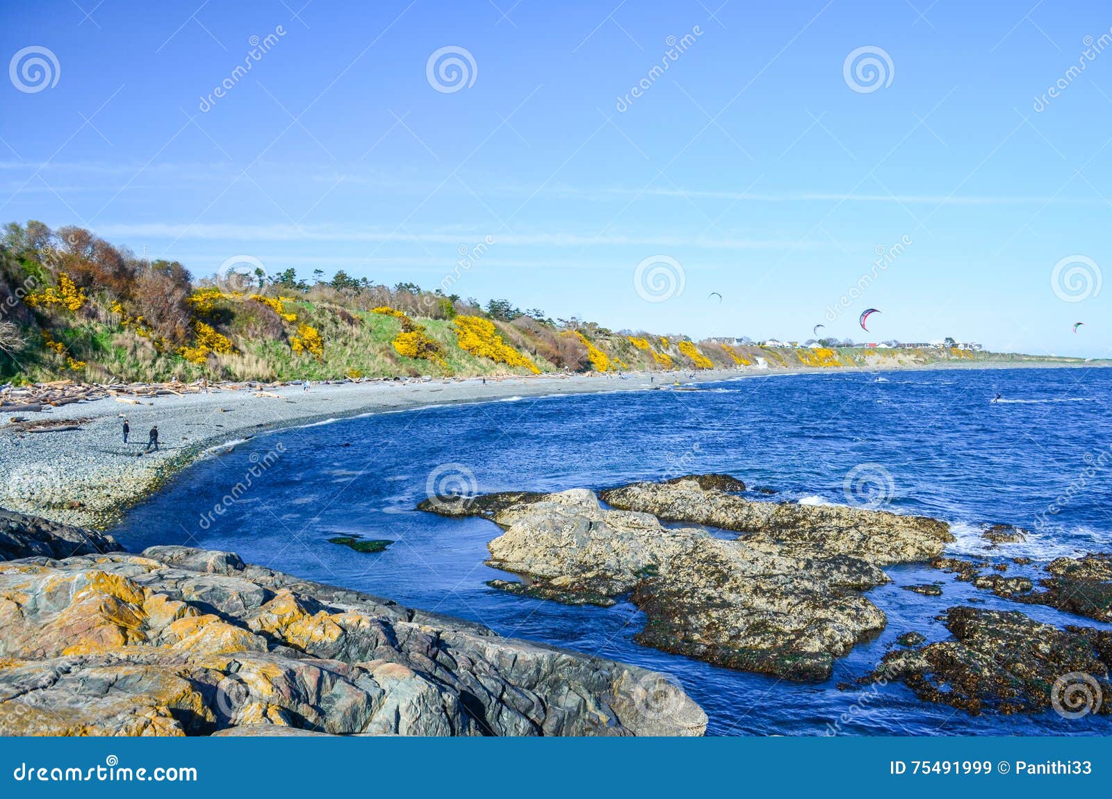 Scenic View of Horseshoe Bay Near the Beacon Hill Park Stock Image
