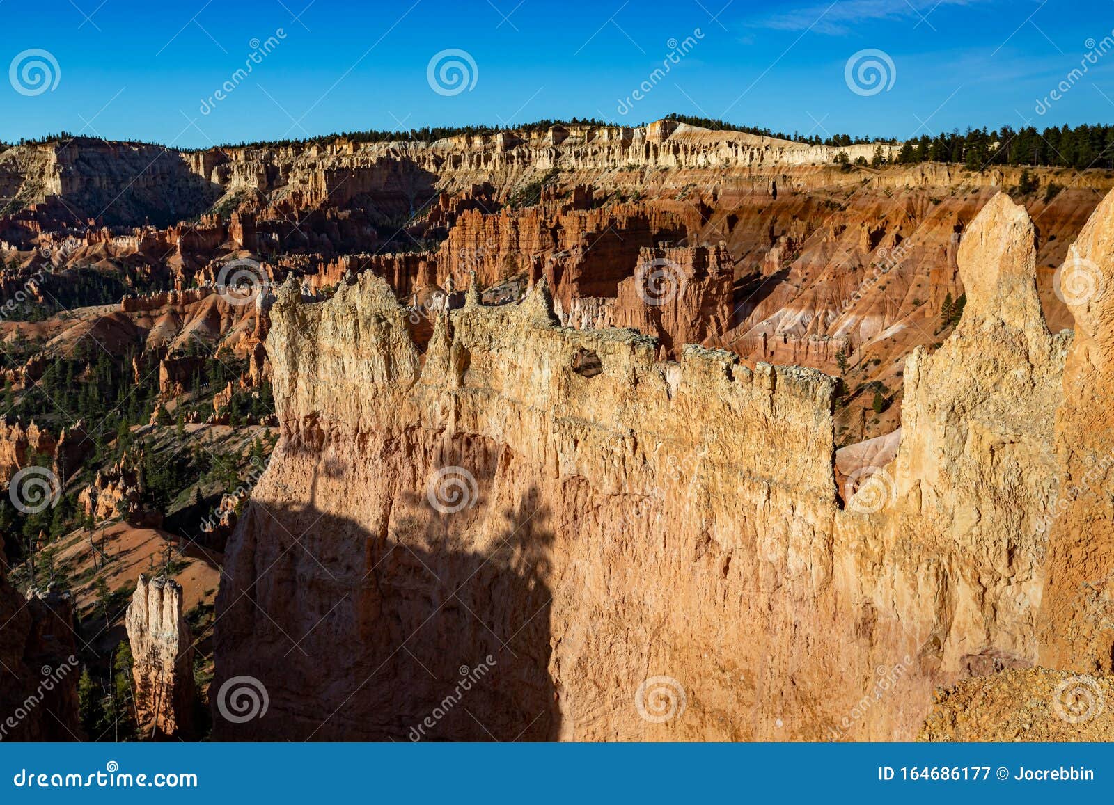 a scenic view of natural amphitheaters in the bryce canyon national park from the sunrise point