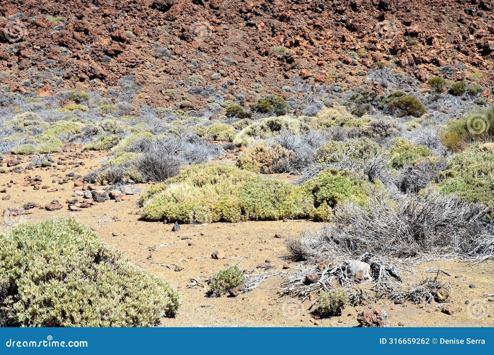 scenic view of volcanic rock formations in desert during sunny day, teide national park, tenerife