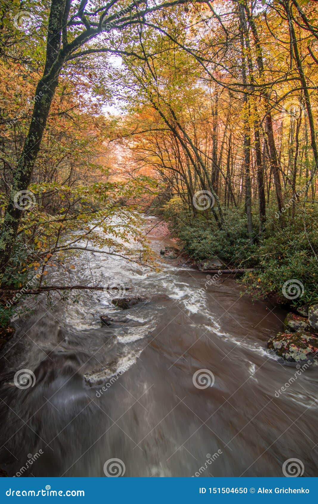 Scenic Views Along Virginia Creeper Trail Stock Photo Image of